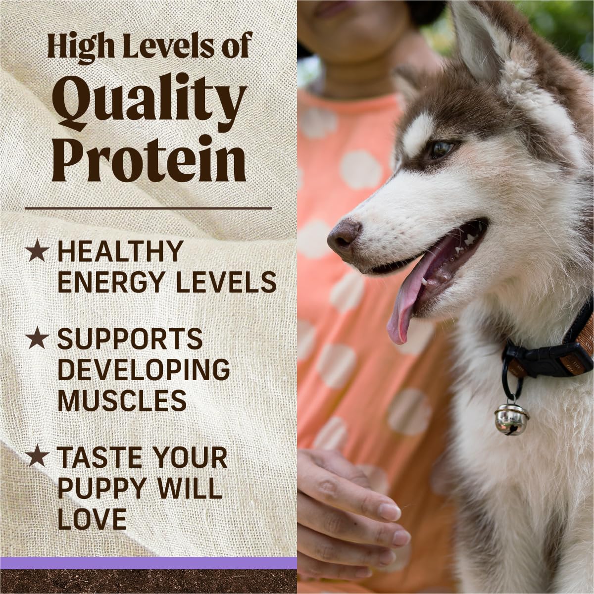 Merrick Premium Grain Free Dry Puppy Food, Wholesome And Natural Kibble With Real Chicken and Sweet Potato - 22.0 lb. Bag