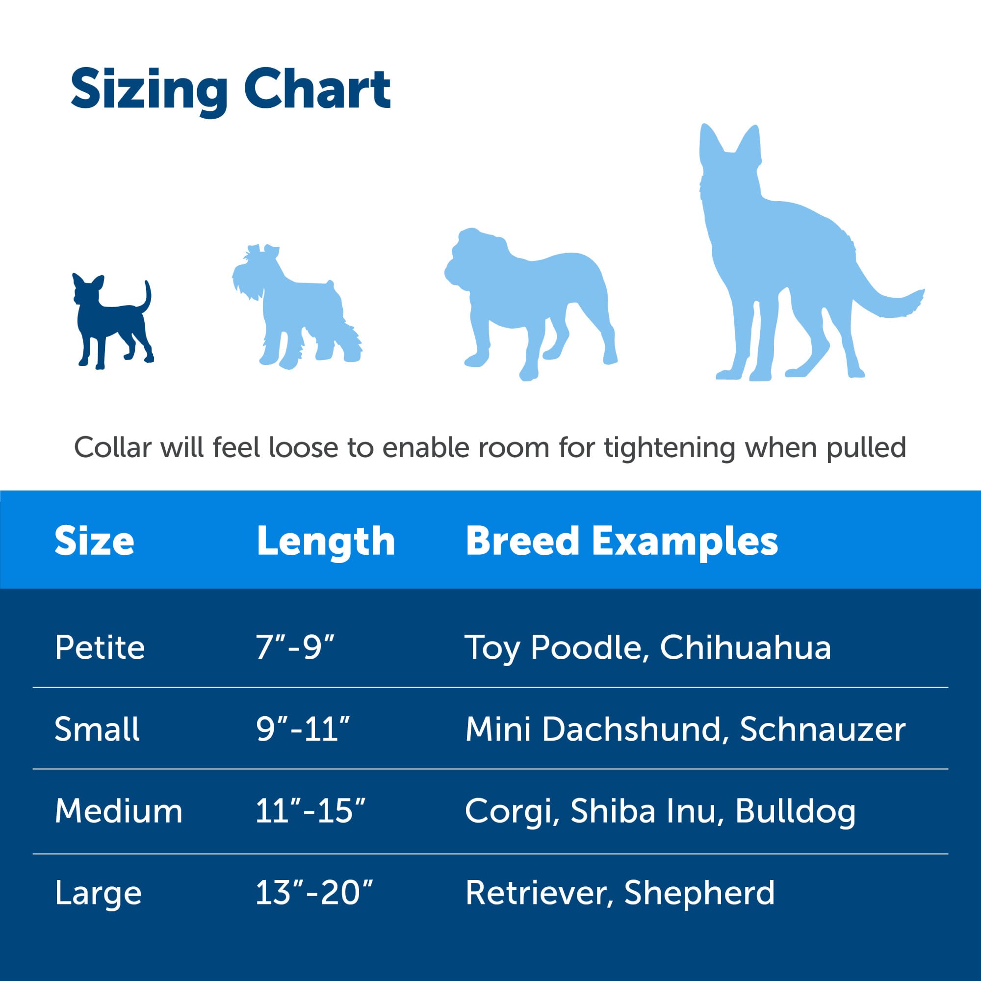 Petsafe Martingale Dog Collar With Quick-Snap Buckle - Petite, 3/8 Inch, Royal Blue