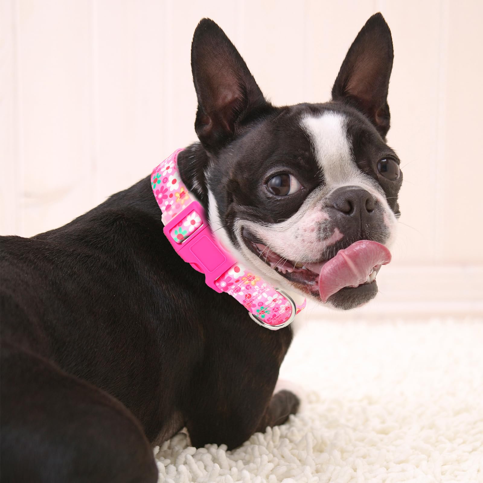 Pink Dog Collar For Medium Dogs With Flowers For Girl Dogs, Soft Nylon Adjustable Cute Female Dog Collars(Pink M)