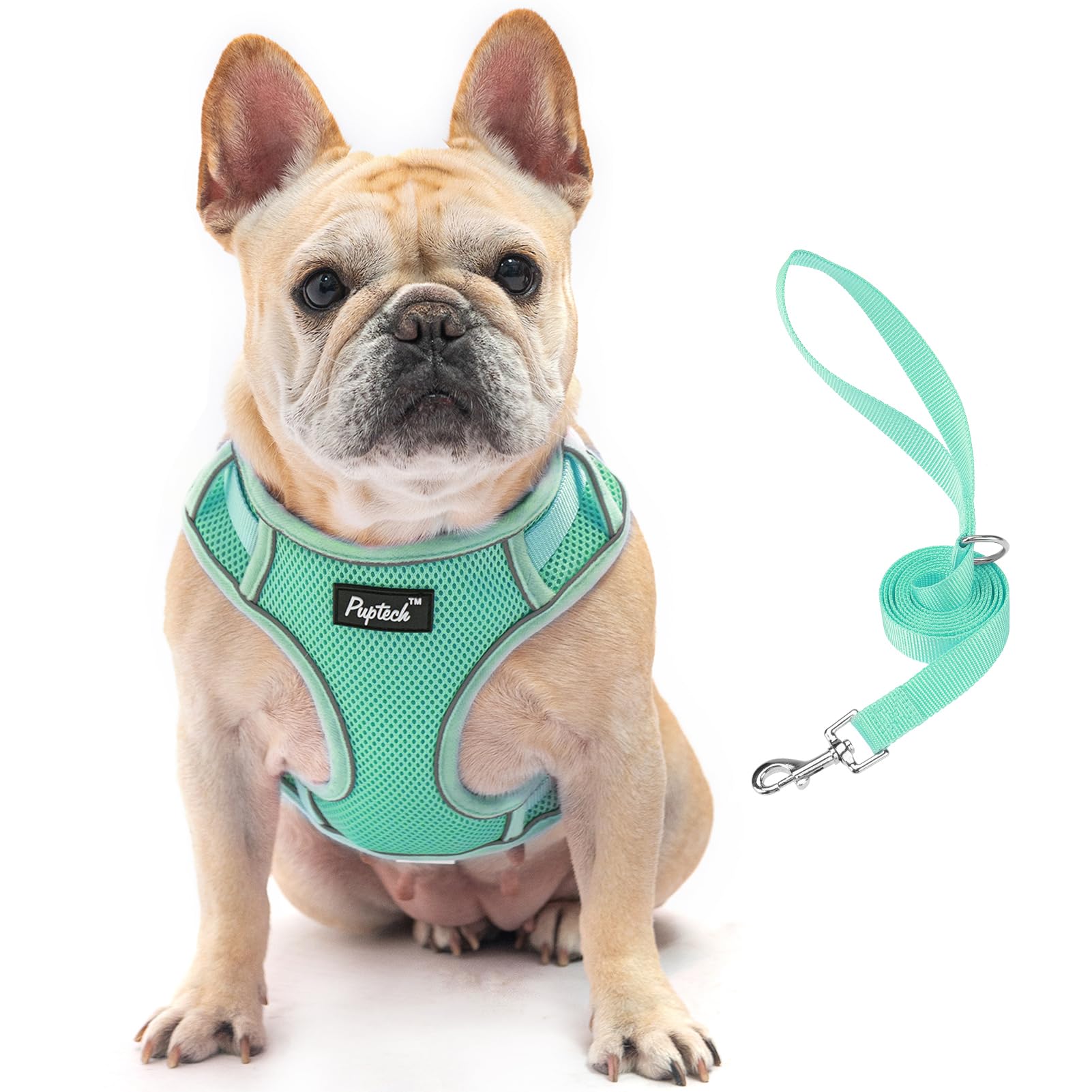 Pupteck Dog Harness And Leash Set For Small Medium Dogs No Pull, Soft Mesh Adjustable Puppy Cat Harness Reflective At Night, Gre
