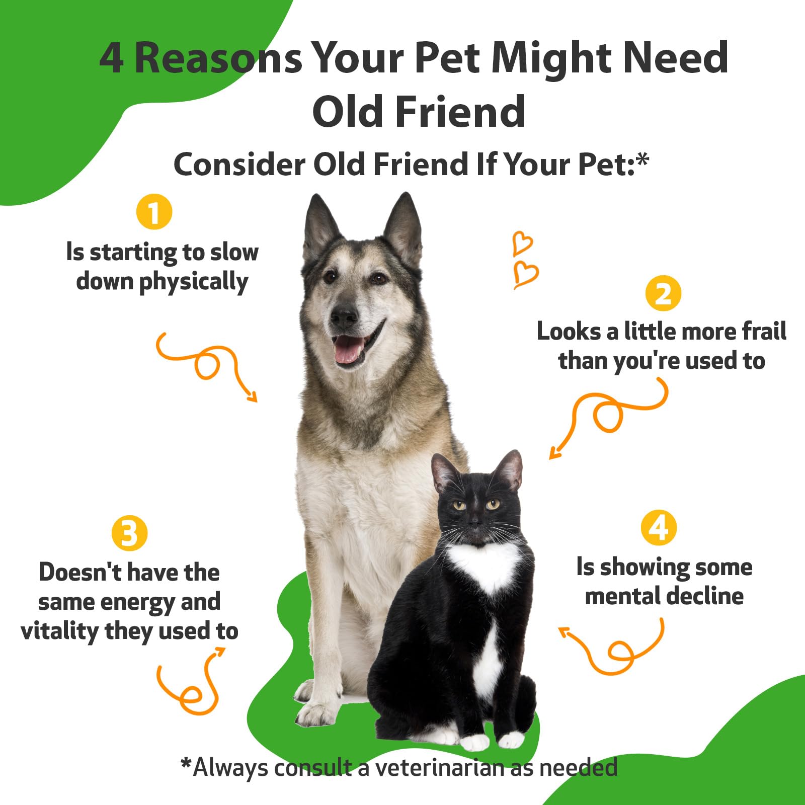 Pet Wellbeing Old Friend for Senior Dogs & Cats- Supports Immune System Health, Joint Mobility, Healthy Energy Levels, Alfalfa,