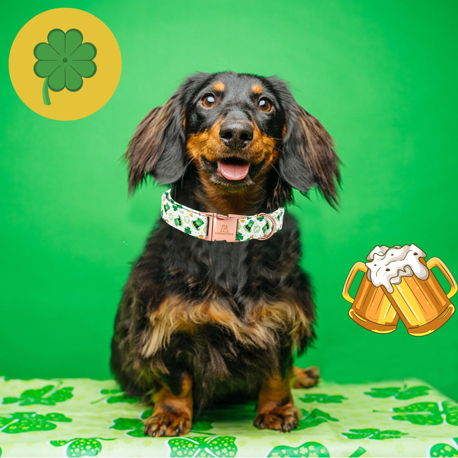 Lionheart Glory St. Patrick Dog Collar - Green Clover Collar For Medium Dogs - Adjustable Heavy-Duty Spring Collar - Pet Gift