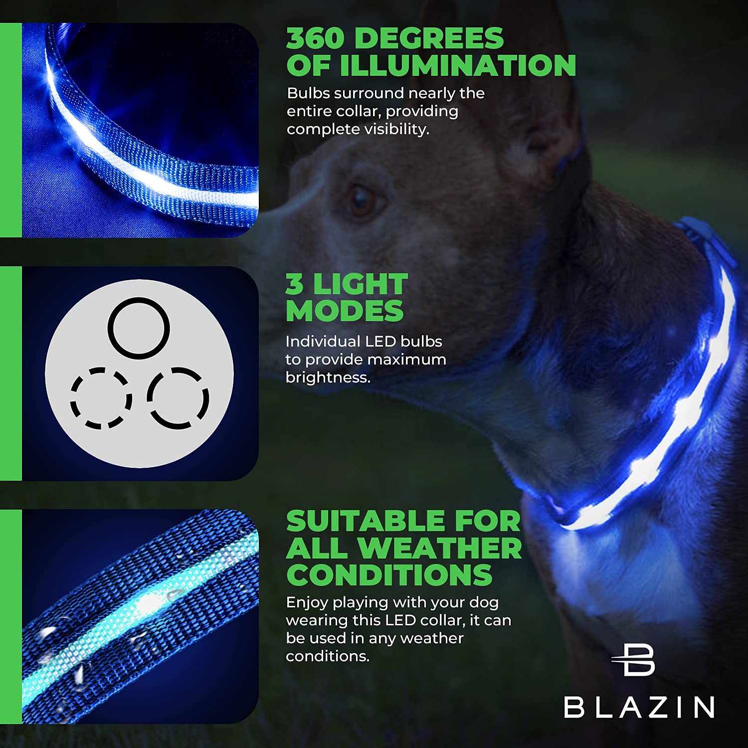 Blazin Led Light Up Dog Collar - 1,000 Feet Of Visibility - Brightest For Night Safety - Usb Rechargeable Waterproof Dog Collar