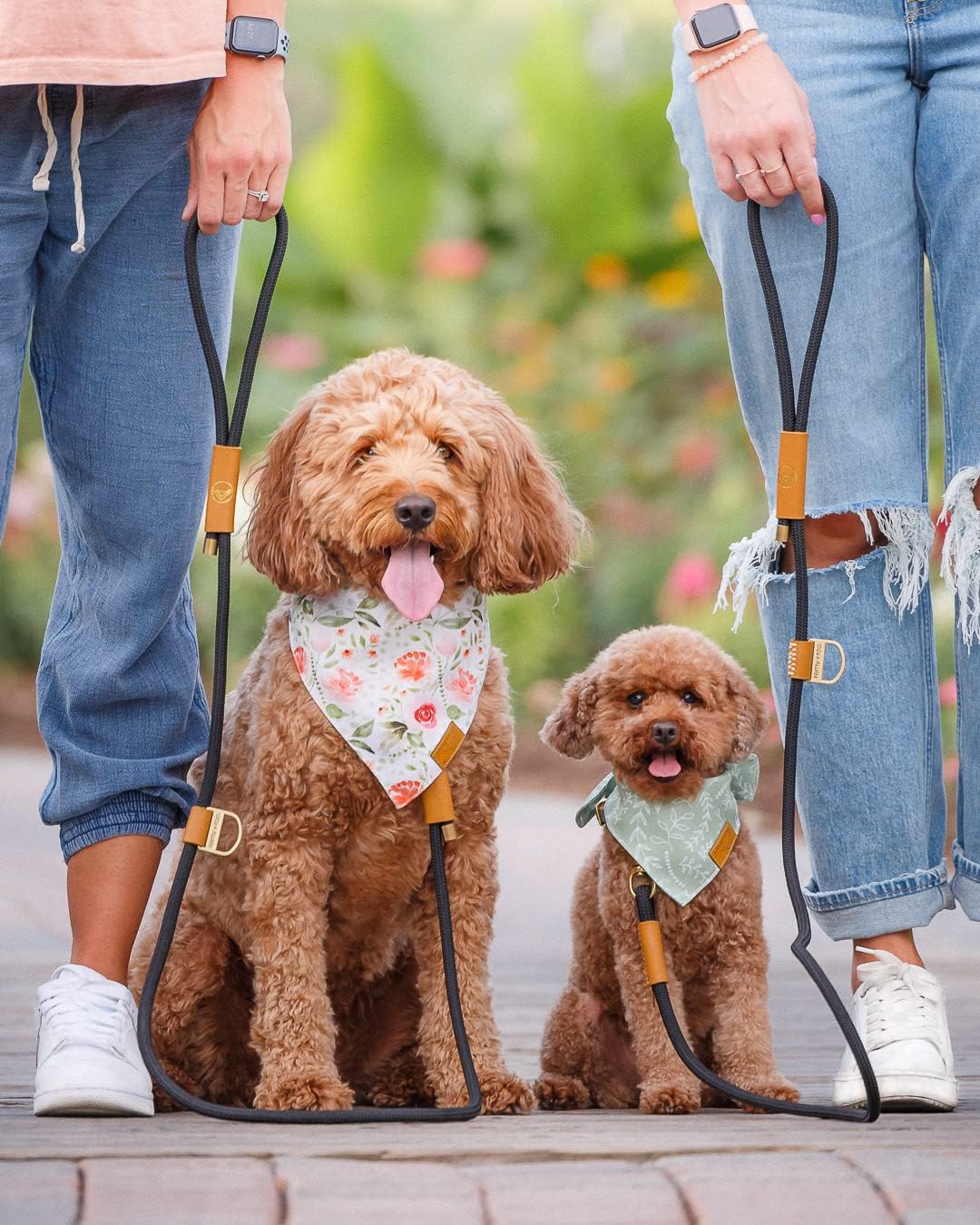 Remy+Roo Manhattan Black 5 Ft Heavy Duty Dog Leash | Custom Waste Bag Ring | Double Stitched Leather Dog Leash | Lobster Clasp | Brass Finishes | Strong Dog Leash For Large Medium And Small Dogs