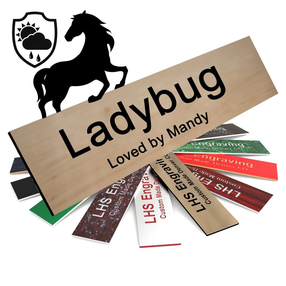 Lhs | Personalized Horse Stall Name Plates, 2X12 Horse Stall Signs With Adhesive, All Weather Uv Protected, Cashew Plastic Black