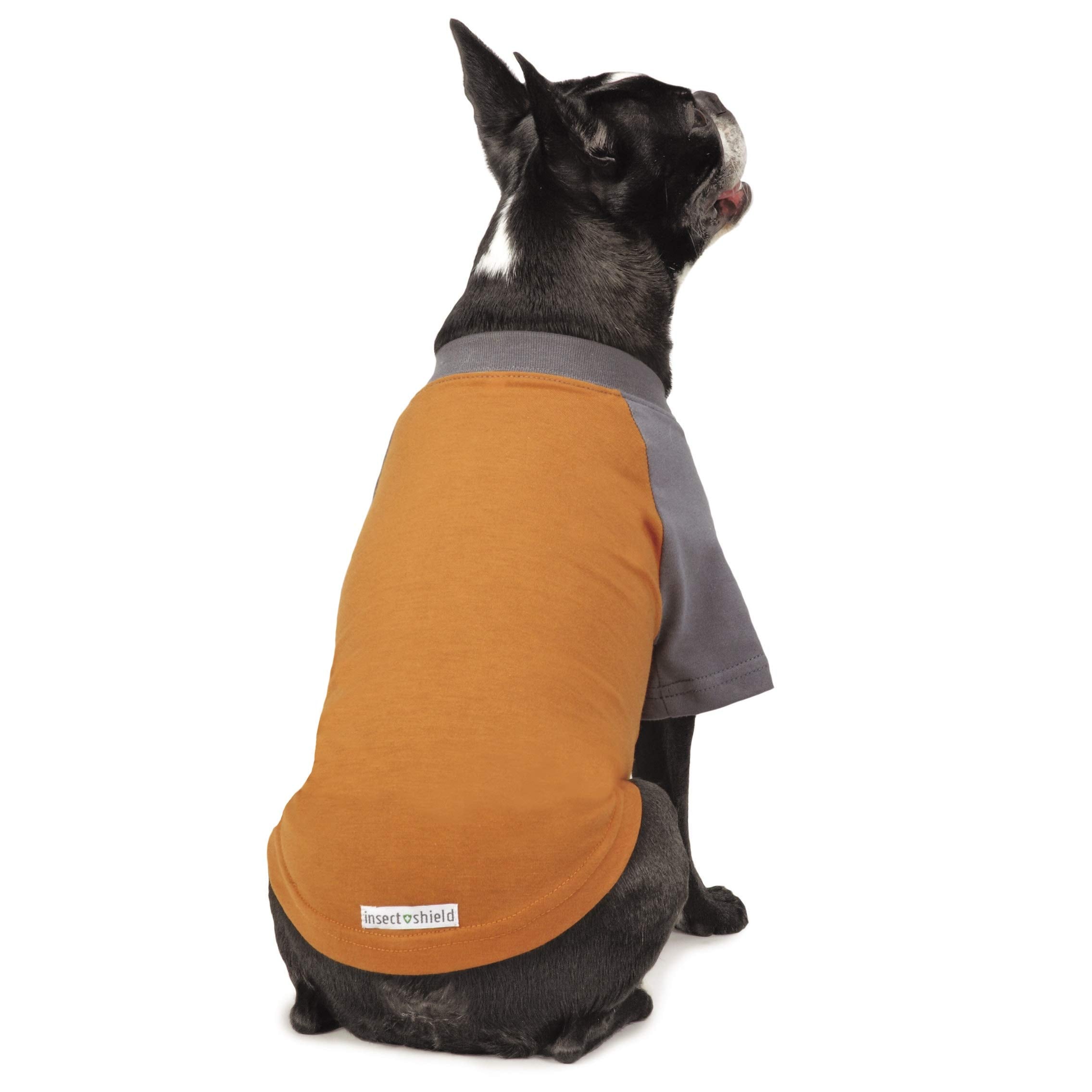 Insect Shield Insect Repellant Premium T-Shirt for Protecting Dogs from Fleas, Ticks, Mosquitoes, Orange, X-Small, 1 Count (Pack