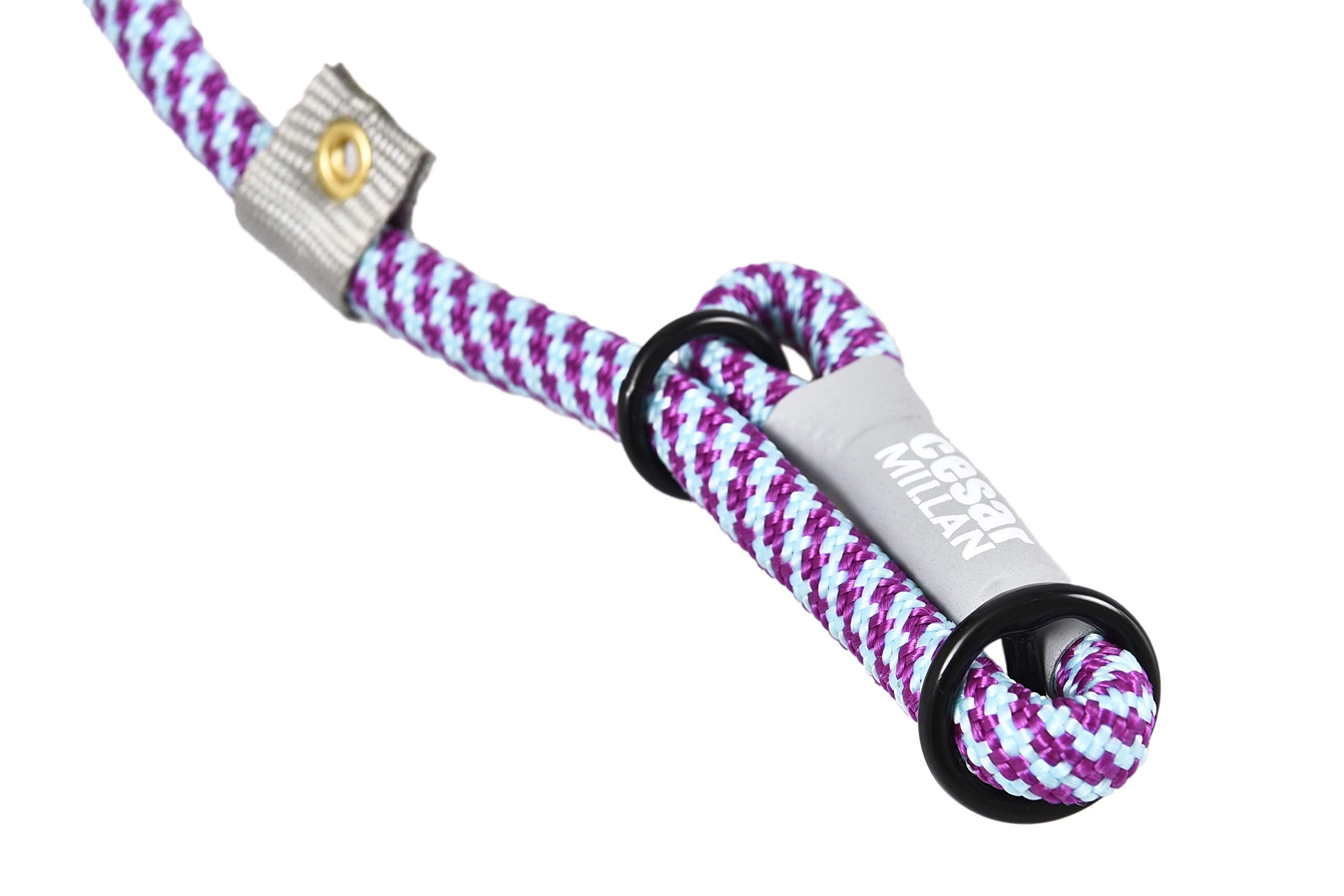 Cesar Millan Slip Lead Leash™ - 2-In-1 Slip Collar Dog Training Lead & Collar | Heavy Duty Durable Weatherproof Rope Leash, No Pull Training | Length 4Ft Diameter 4/10”(Regular, Aqua/Purple)
