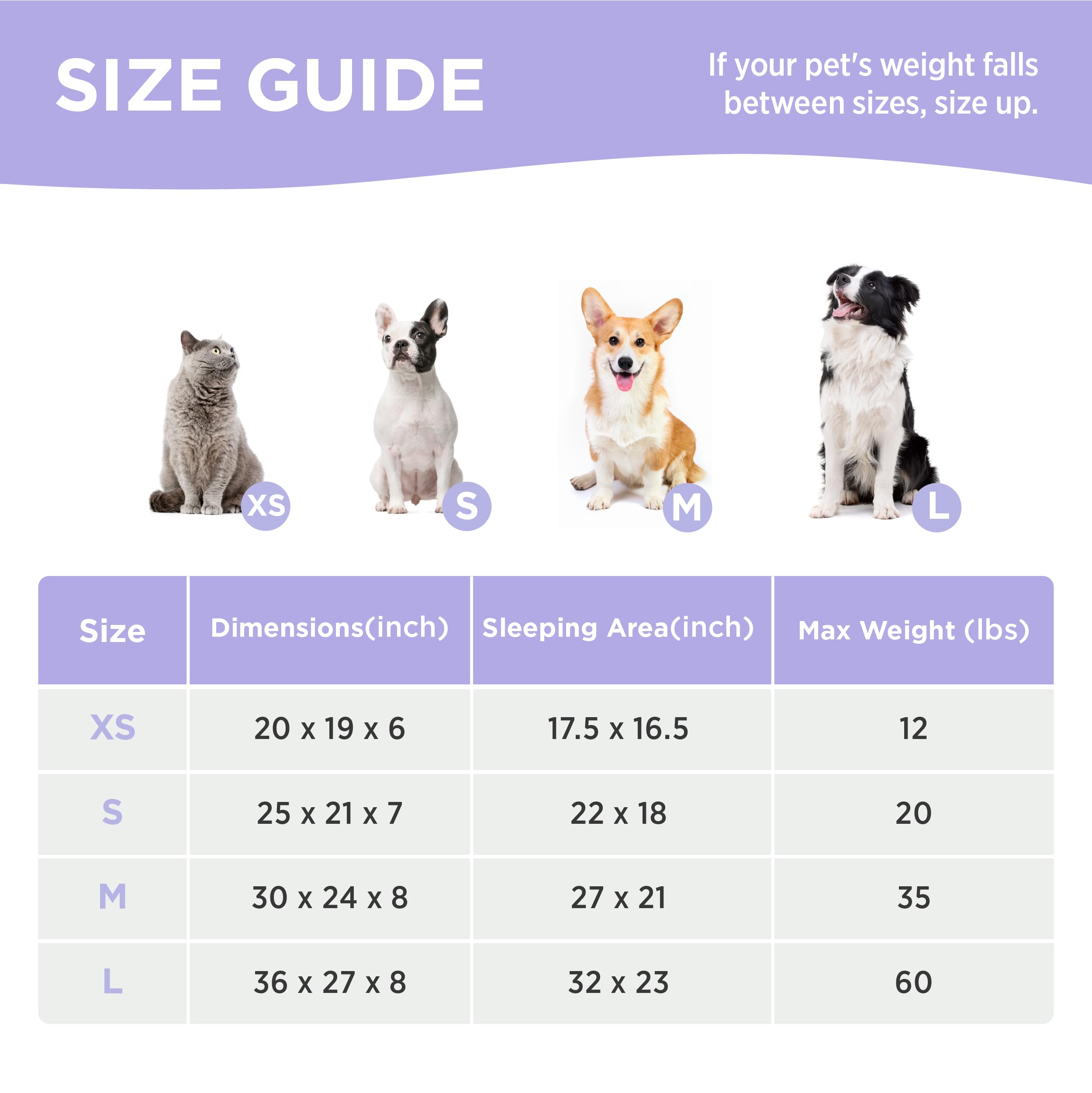 Lesure Cute Dog Bed For Small Dogs - Washable Puppy Beds,Cozy Rectangle Orthopedic Pet Sofa With Jacquard Shaggy Plush & Anti Sl