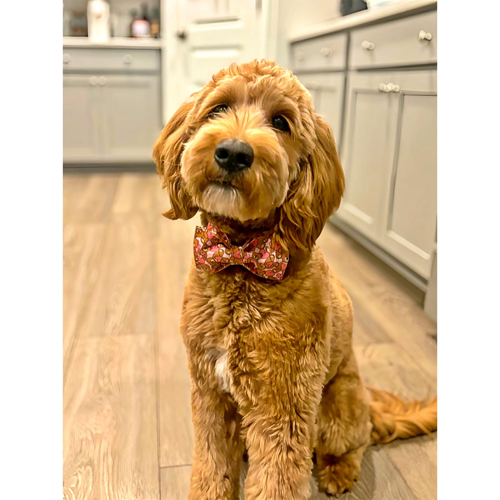 Lionheart Glory Dog Bow Collar Valentine'S Day Dog Collar For Large Dogs Hearts Bear Dog Collar With Bowtie Spring Pink Dog Coll