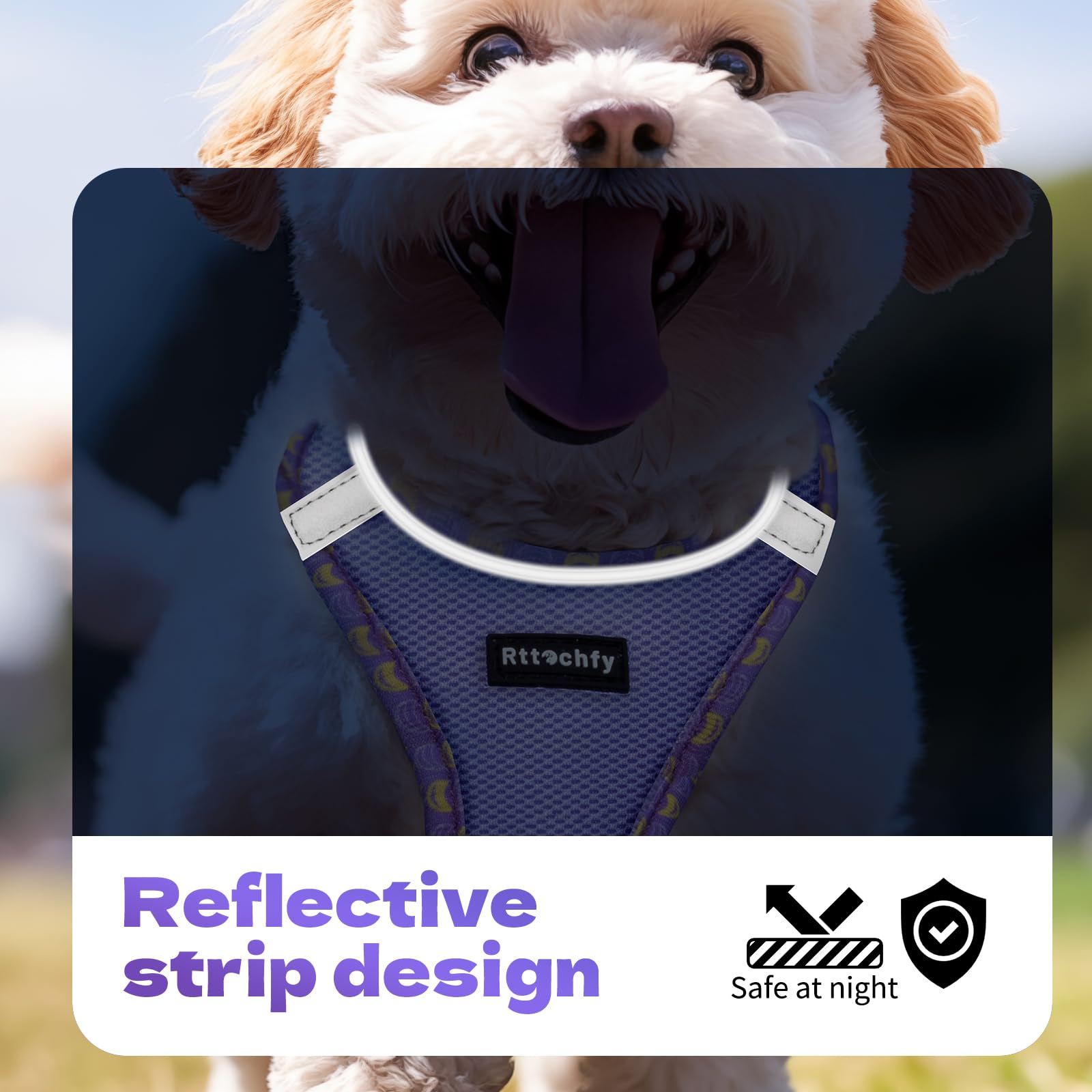 Rttochfy Small Dog Harness, Soft And Reflective Puppy Harness, Dog Harness And Leash Set For Small Size Dogs Training, Walking (