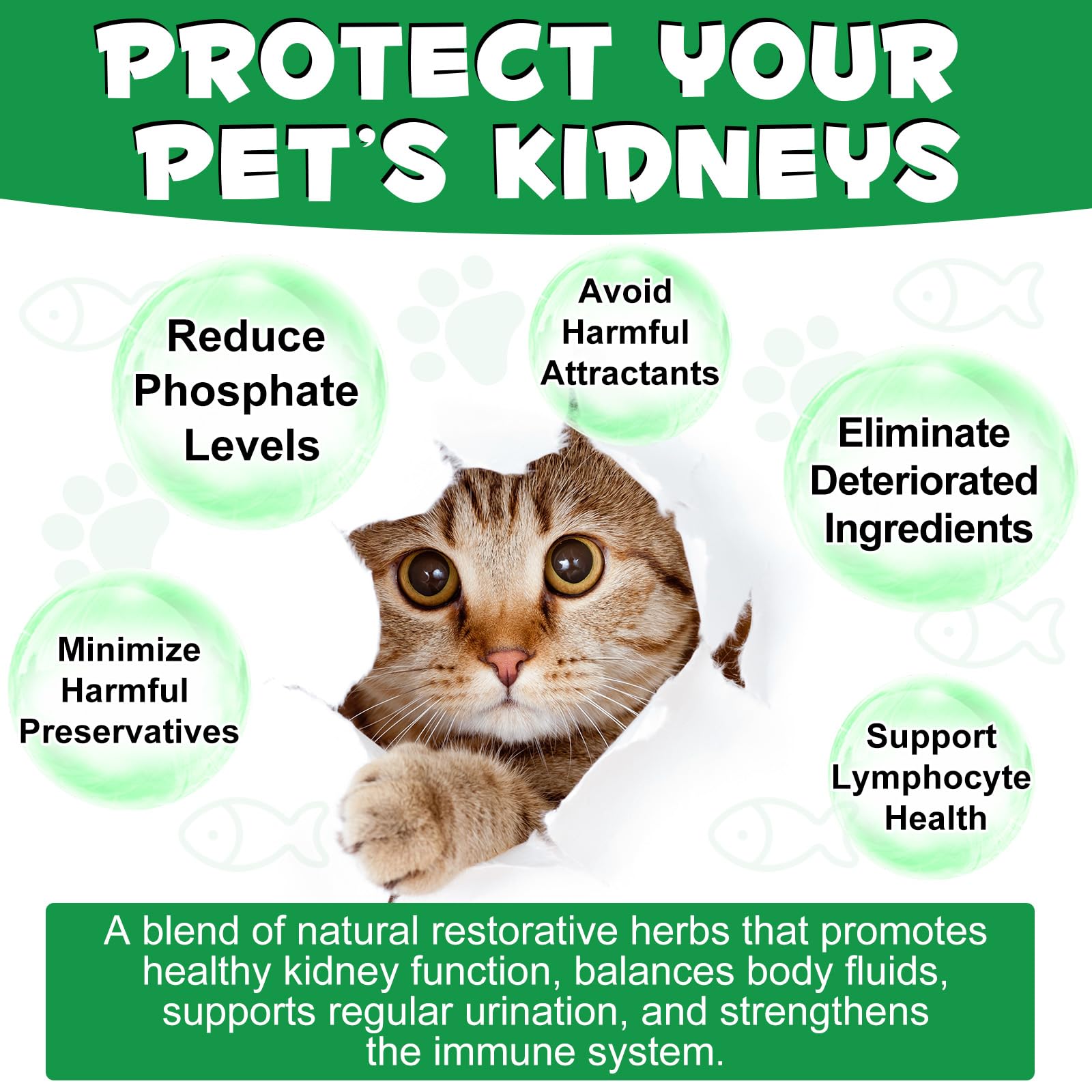 Kidney Support for Cats, Cat Kidney Treatment Support Cat Urinate Regularly, Strengthen Cat Kidney Function,Increase Cat Immunit