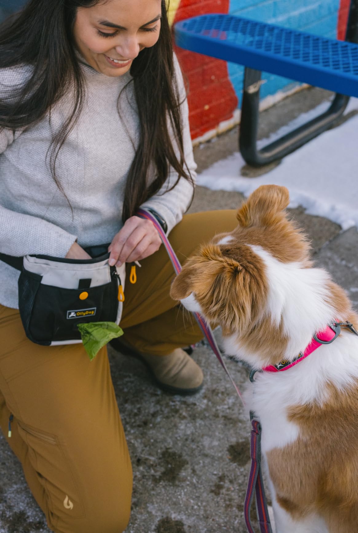 OllyDog Backcountry Day Bag | Hands-Free Dog Training Treat Pouch | Fanny/Hip Pack with Zipper Closure & Built-in Poop Bag Dispe