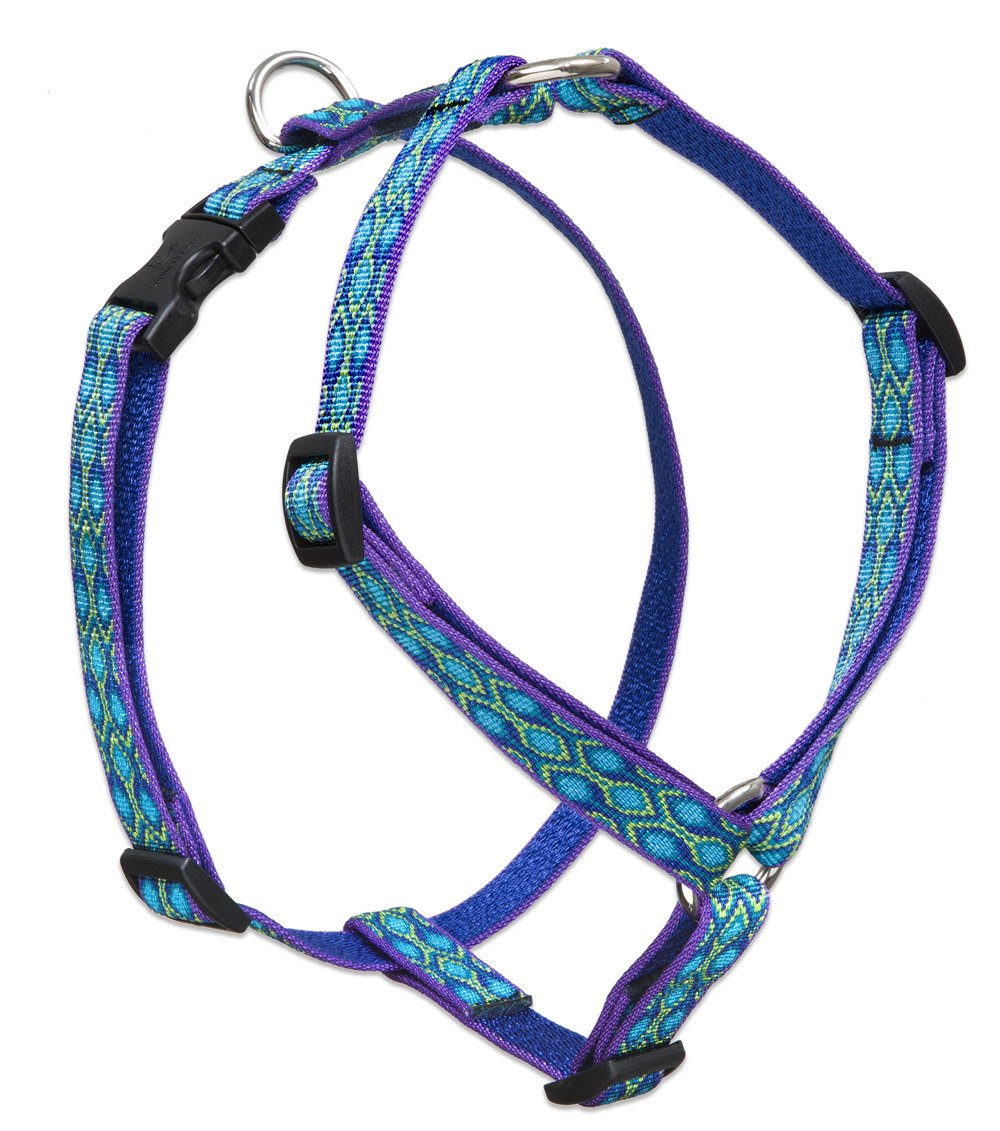 LupinePet Originals 3/4'' Rain Song 14-24'' Adjustable Roman Dog Harness for Medium Dogs