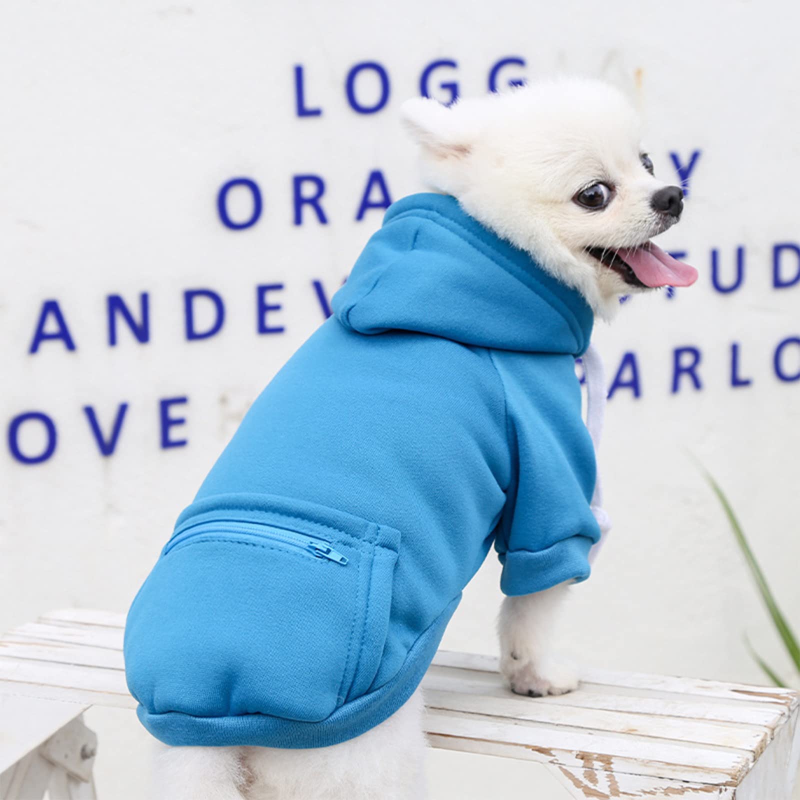 Petcare Blue Winter Warm Dog Sweater - Soft Fleece Hooded Sweatshirt With Pocket - Small Dog Clothes For Chihuahua, Yorkies, Fre
