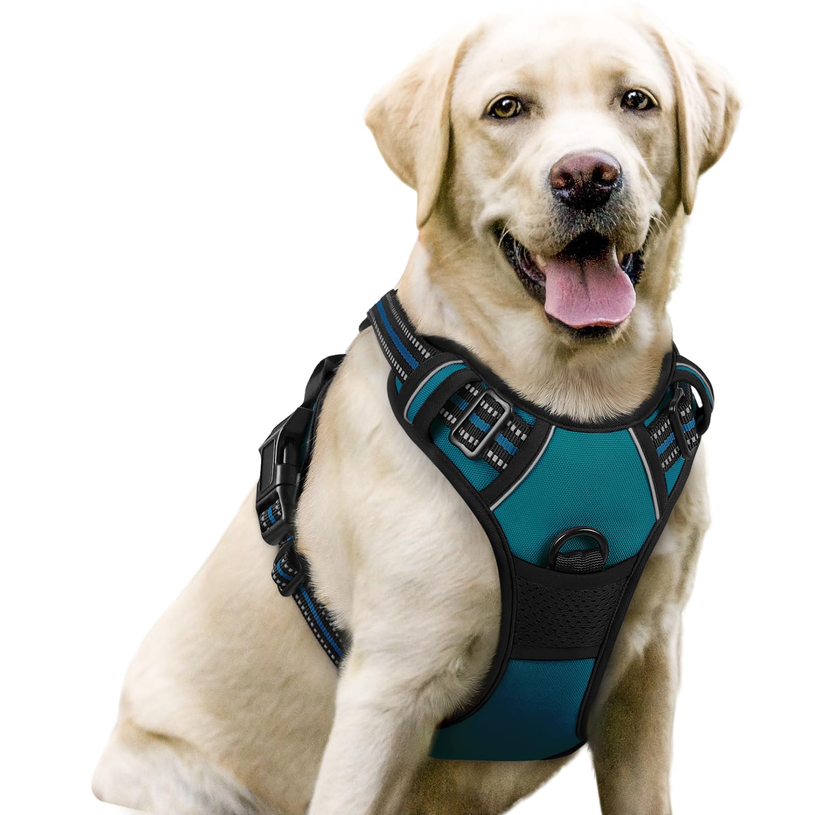 Rabbitgoo Dog Harness, No-Pull Pet Harness With 2 Leash Clips, Adjustable Soft Padded Dog Vest, Reflective No-Choke Pet Oxford Vest With Easy Control Handle For Large Dogs, Blue Coral, L