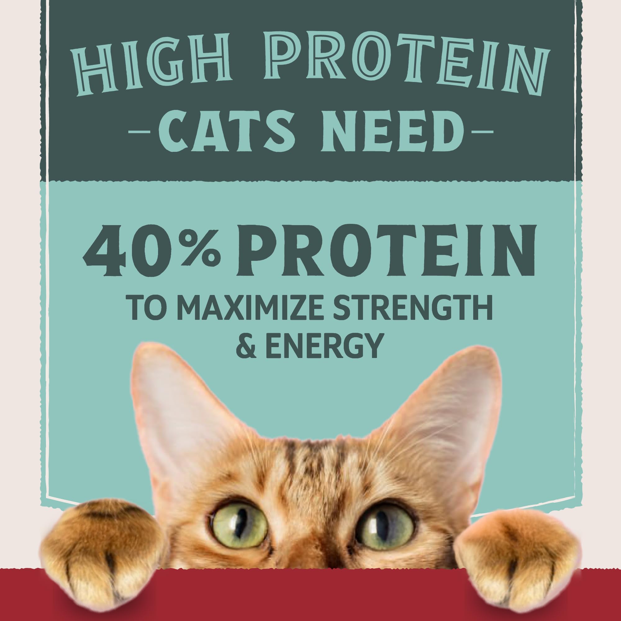 Natural Balance Ultra Protein Dry Cat Food, Real Chicken & Chicken Meal Recipe with Protein-Rich Organs - 6 lbs.