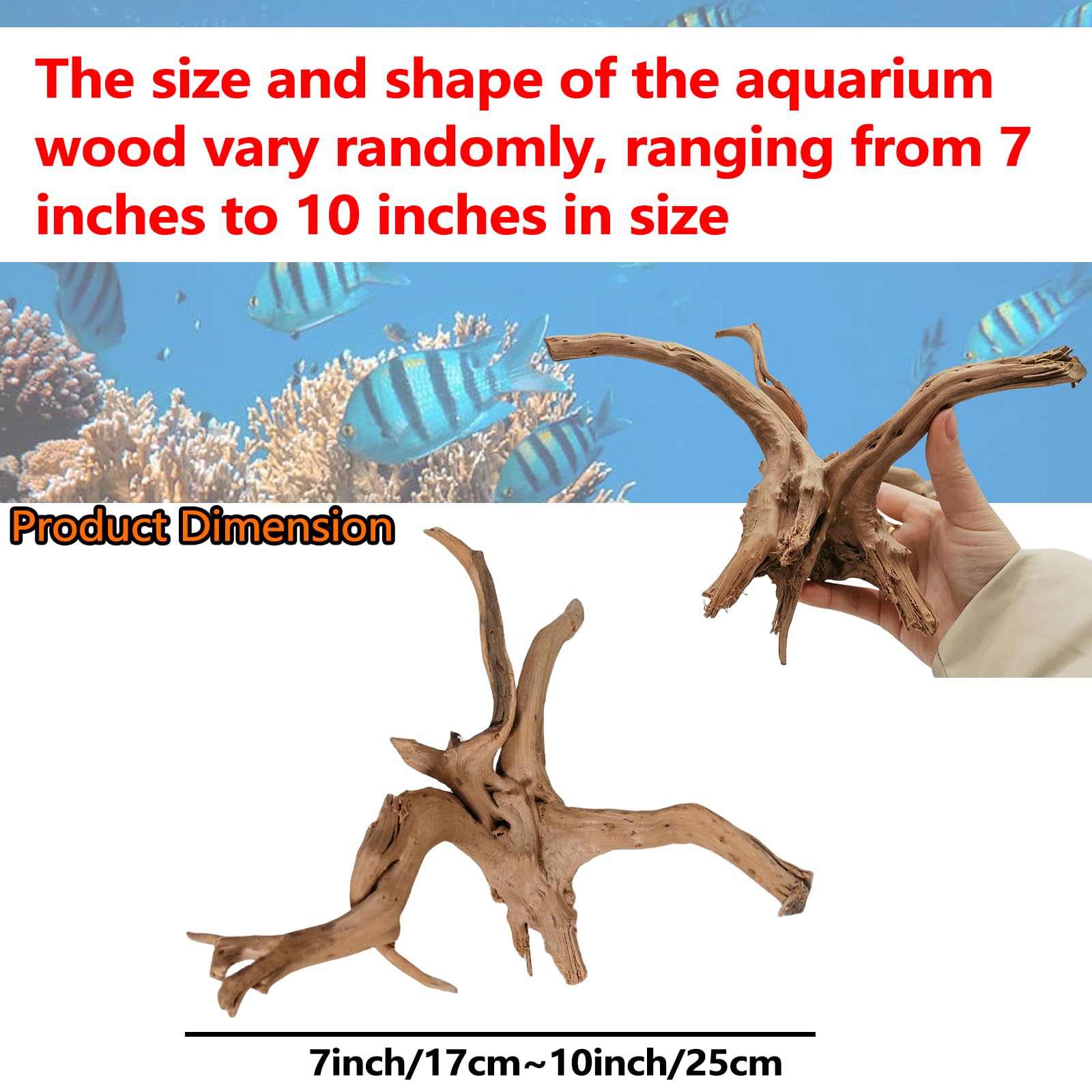 Hamiledyi 2 Pcs Natural Aquarium Driftwood Reptile Spider Wood Ornament Assorted Branches Natural Driftwood Log Fish Tank Decora