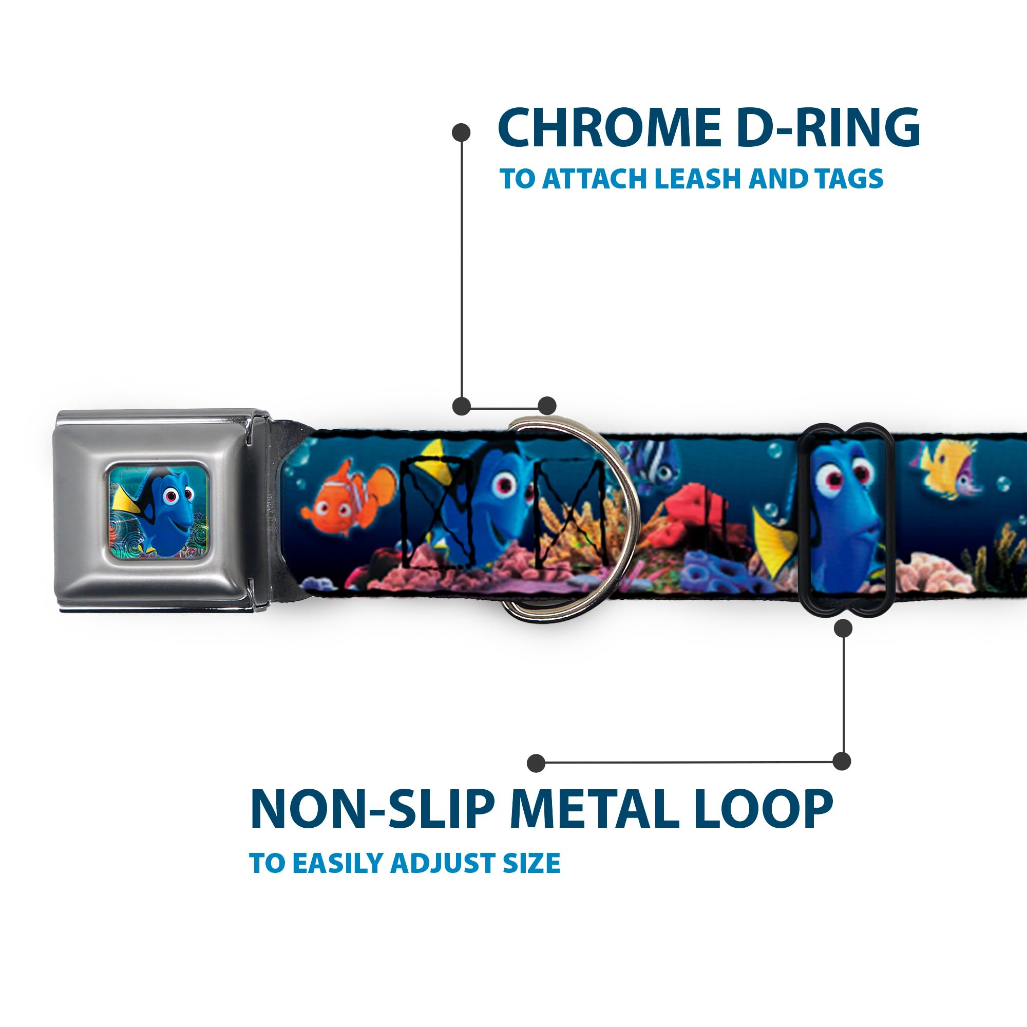 Buckle-Down Dog Collar Seatbelt Buckle Dory Poses Friends Under The Sea 15 To 26 Inches 1.0 Inch Wide