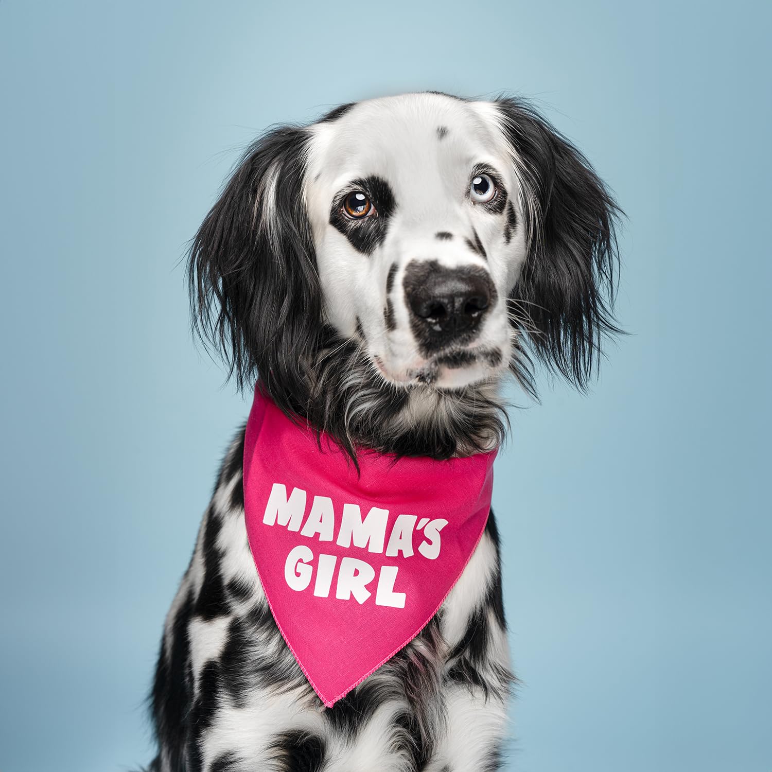 Mama'S Girl Dog Bandana | 100% Cotton For Mom | Valentine'S Day | Prop Photoshoot | Green, X-Small (949)