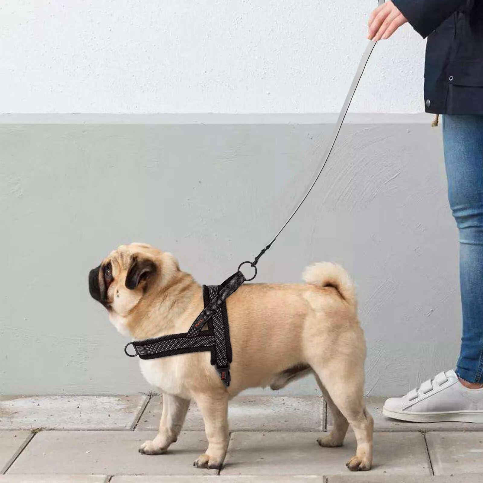 Didog No Pull Dog Harness With Breathable Mesh Padded, Full Reflective & Quick Fit Adjustable Vest Harness, Easy For Training Wa
