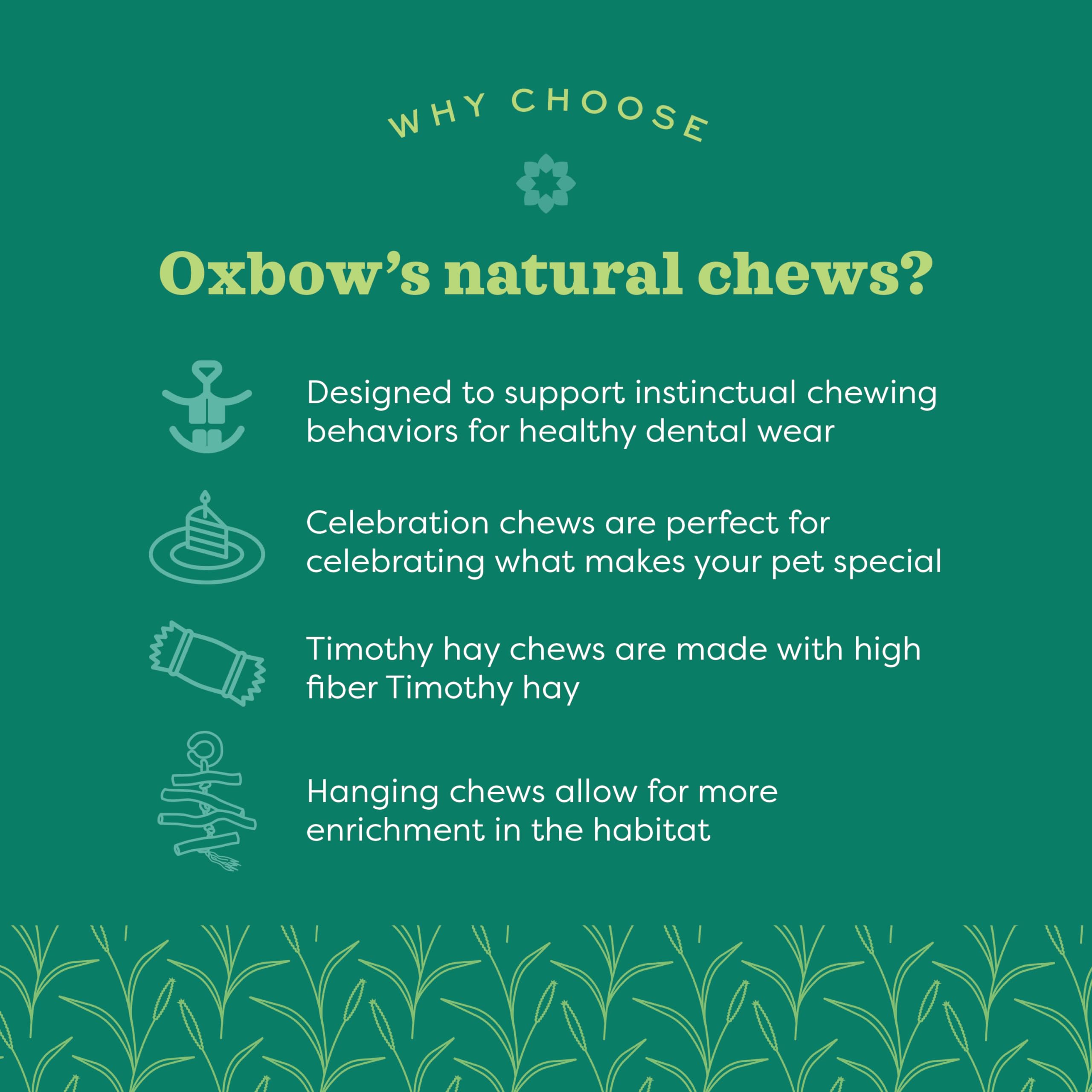 Oxbow Enriched Life Celebration Cupcake