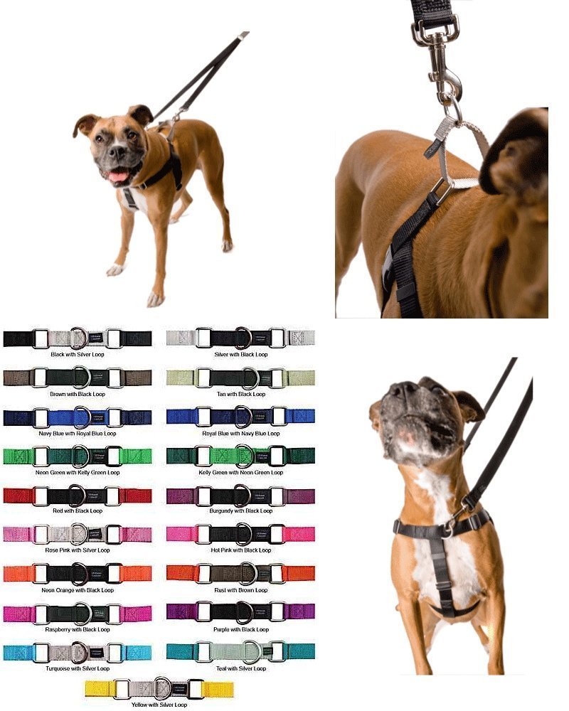 Freedom No-Pull Harness 1' Lg Only Available In 18 Colors- Direct From Inventor (Neon Orange W/Black Loop)