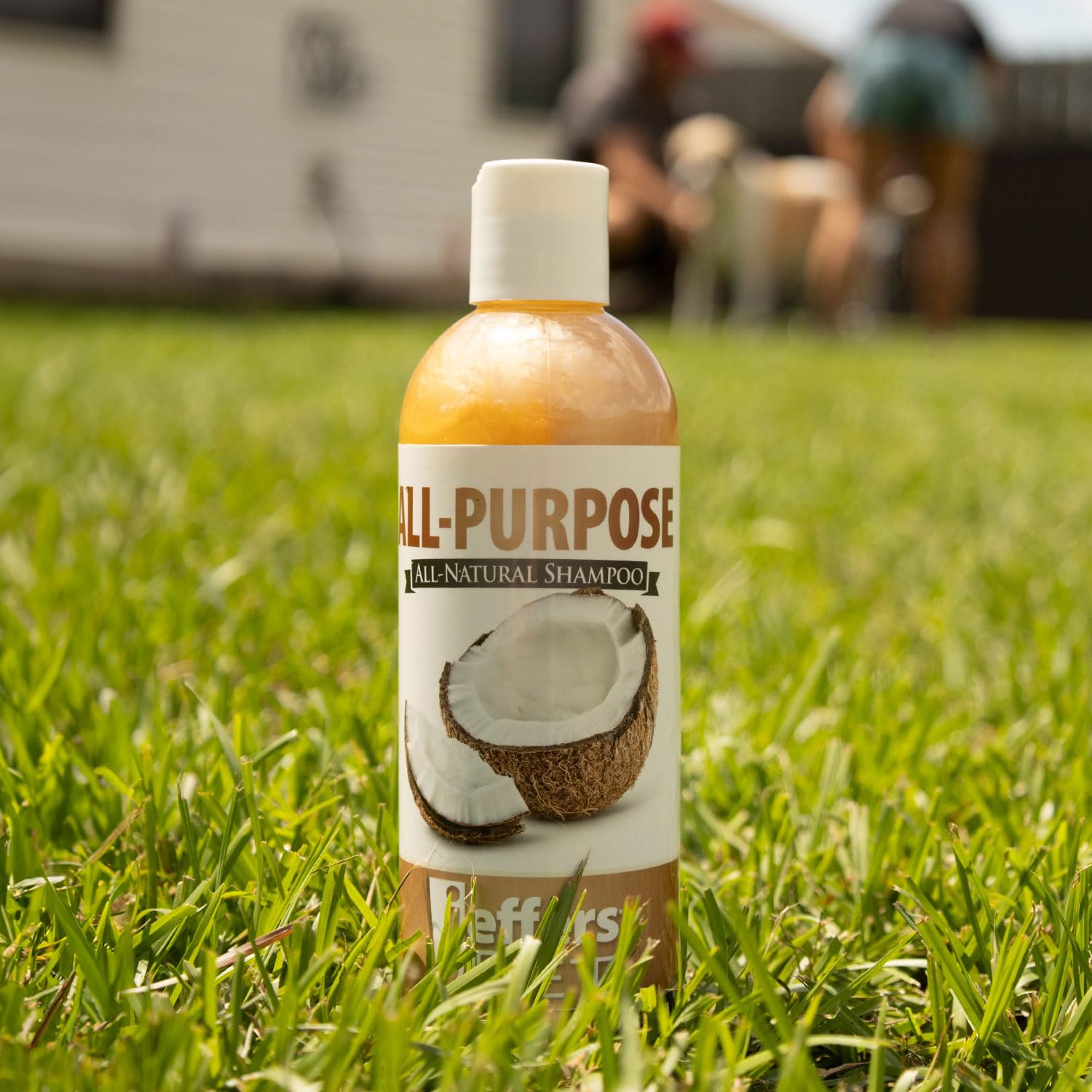 Jeffers Pet All Purpose Coconut Oil Shampoo For Dogs & Cats, 17 Fl Oz - Tearless, Ph Balanced, Soap & Detergent Free Formula - G