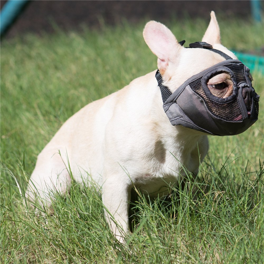 JYHY Adjustable Breathable Mesh Dog Muzzle, Medium 11"-17", Grey (Eyehole), Nylon for Training & Grooming
