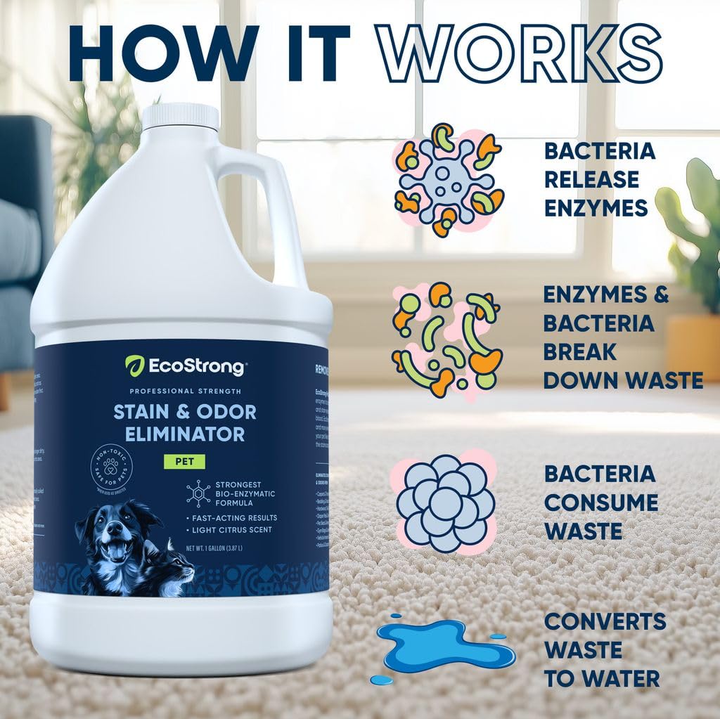 Eco Strong Pet Stain and Odor Remover - Cat Urine Enzyme Cleaner Destroyer, Urine Destroyer for Dogs, Pet Urine Enzyme Cleaner -