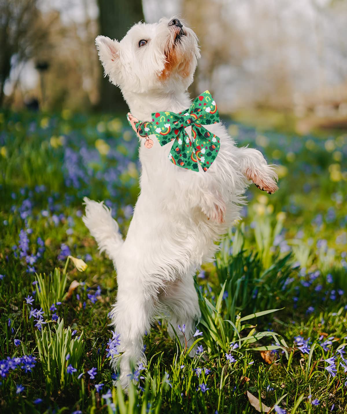 Dogwong Green Lucky Clover Shamrock Dog Collar With Bowtie, Soft Adjustable St. Patrick'S Day Lucky Charm Puppy Collar For Small