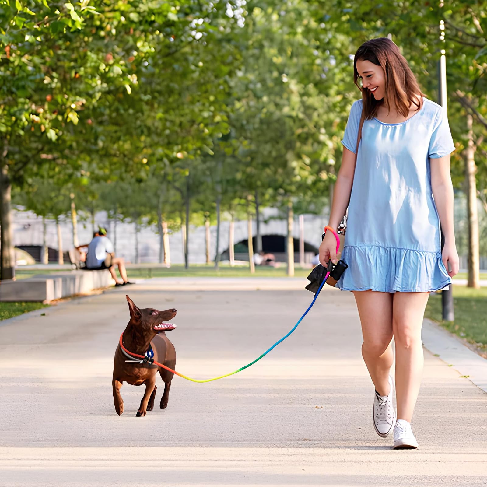 Fovrlzse 3-Pack Adjustable Rainbow Adjustable Slip Leads For Dogs - No-Pull Training For Small & Medium Dogs