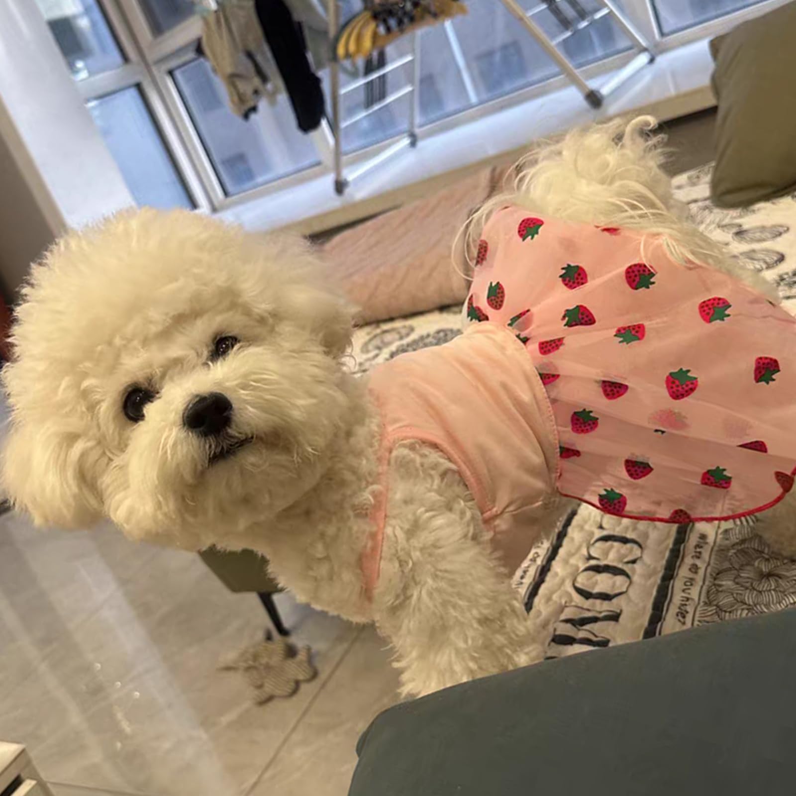 Pink Strawberry Dog Cat Dress For Small Dogs Girl Cute Dog Princess Dresses Puppy Tutu Skirt Chihuahua Teddy Pomeranian Sundress