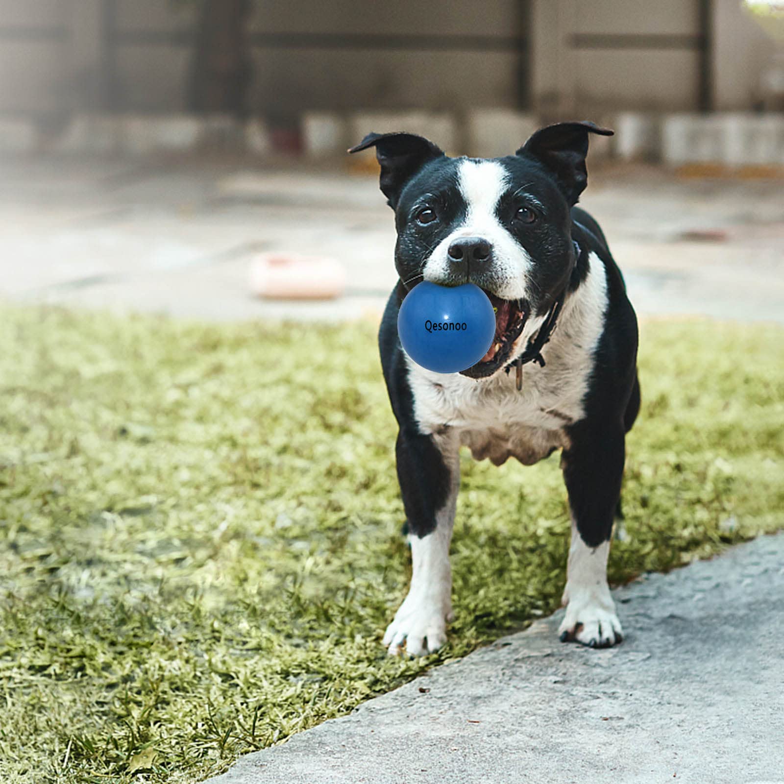 Qesonoo Dog Balls Indestructible,Solid Rubber Bouncy for Dogs Aggressive Chewers Large Breed,Non-Toxic&Floating&High Elasticity,