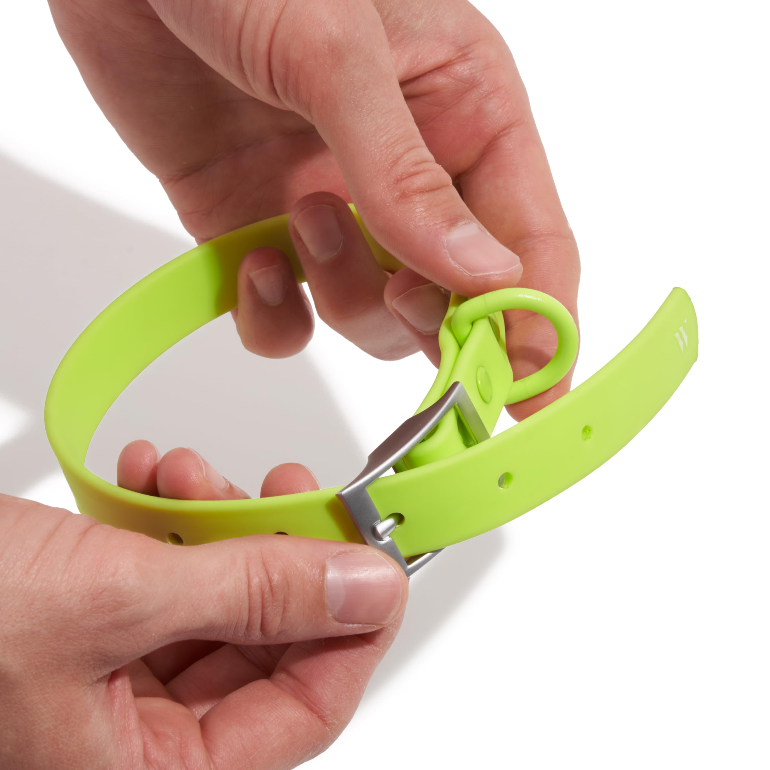 Wild One Dog Collar - Easy-Clean Flex-Poly, Durable, Limeade, Size S, Model WO-CLR-S-LMA