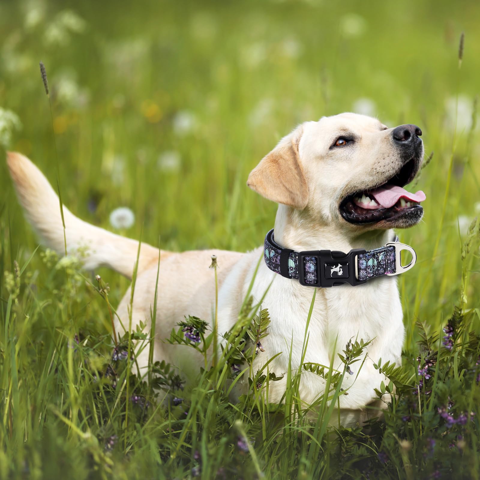 Onefojojo Reflective Dog Collar With Skull Patterns, Boy & Male Dog Collar, Adjustable Safety Nylon Collars For For Medium Large
