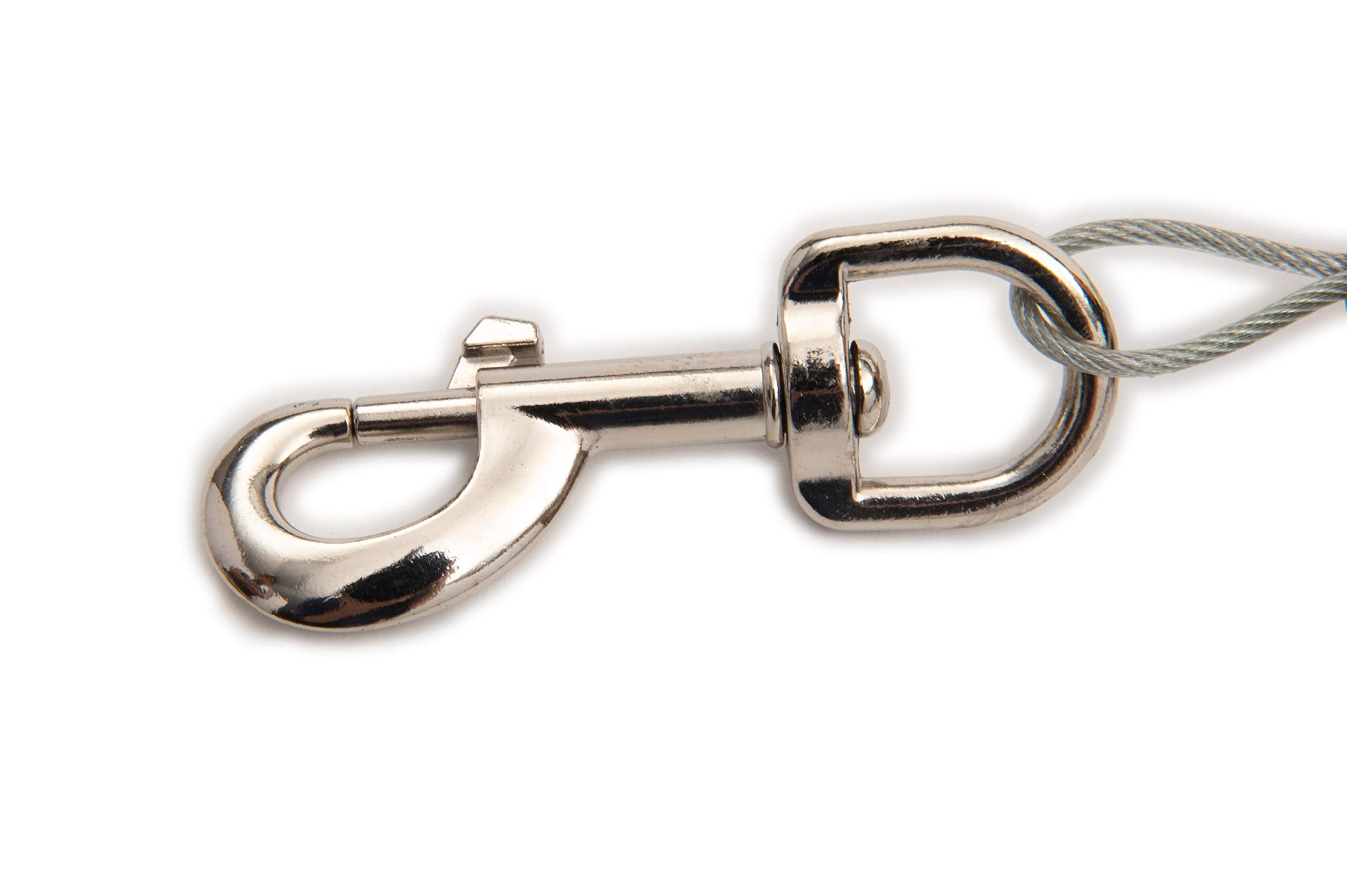 Lixit Bracket Mount and Stake Retractable Leash Tie Outs for Dogs (Stake, Medium)