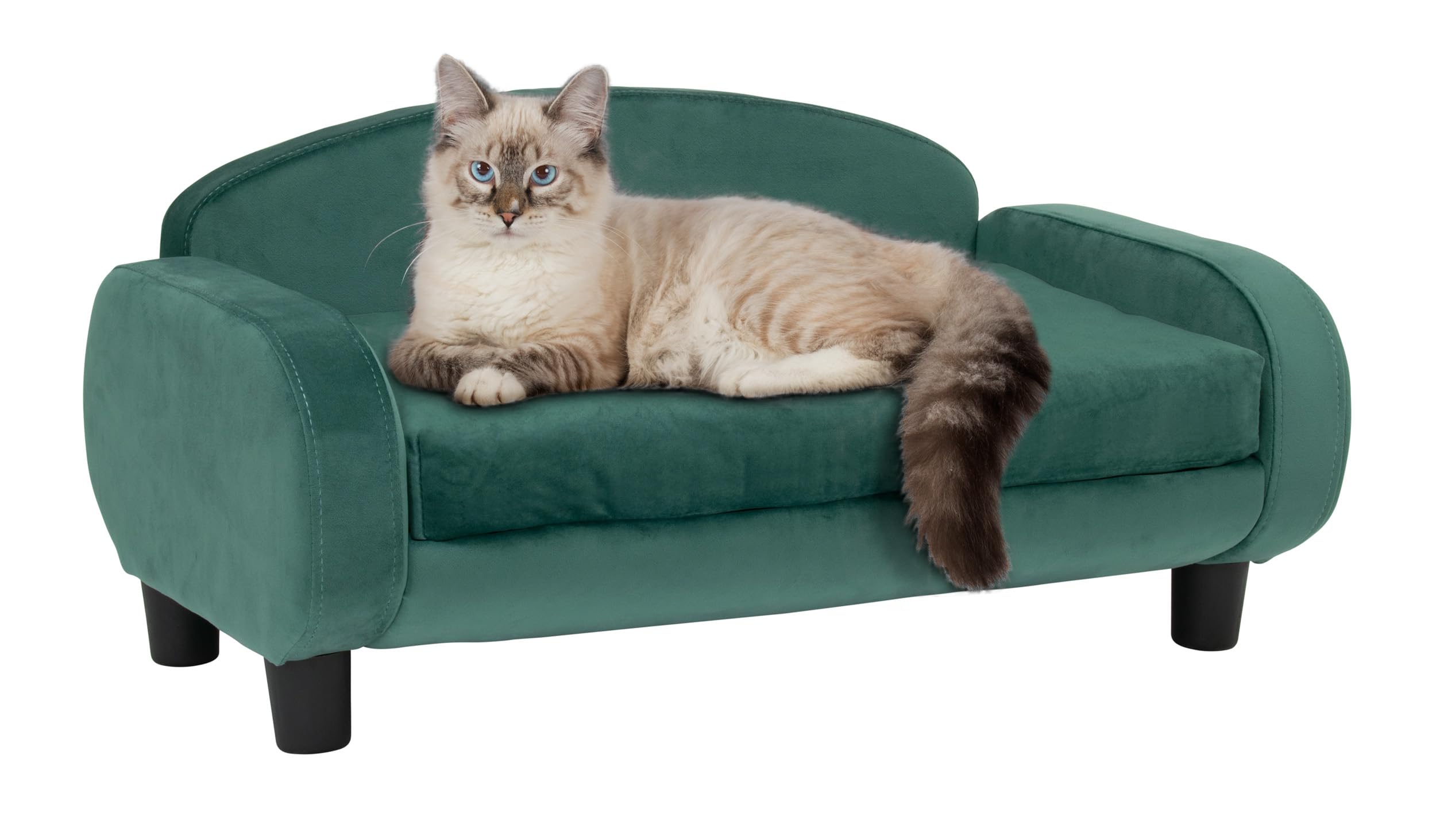 Paws & Purrs Modern Pet Sofa 31.5 Wide Low Back Lounging Bed with Removable Mattress Cover in Espresso/Teal