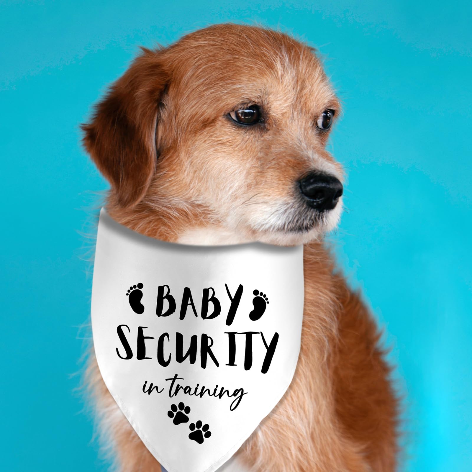 Baby Security In Training Printed Dog Bandana Pet Scarf Dog Pregnancy Announcement Bandana Pregnancy Dog Bandana For Dogs Pet Ac