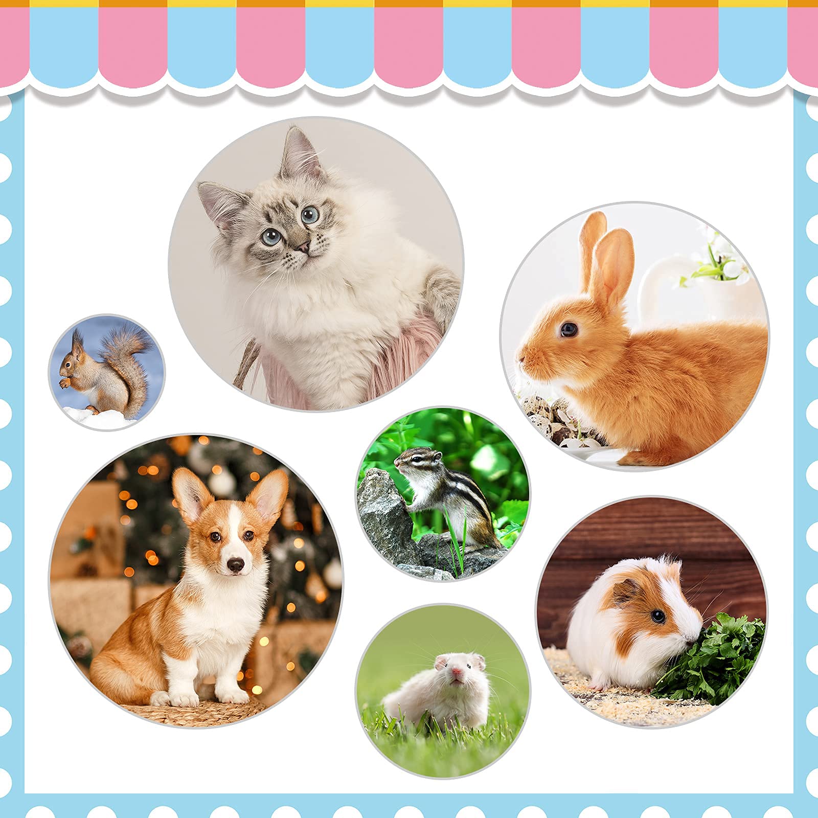 Rabbit Grooming Kit, Rabbit Brush For Shedding With Bunny Nail Clipper, Rabbit Nail Trimmers With Pet Combs For Hamster Guinea P