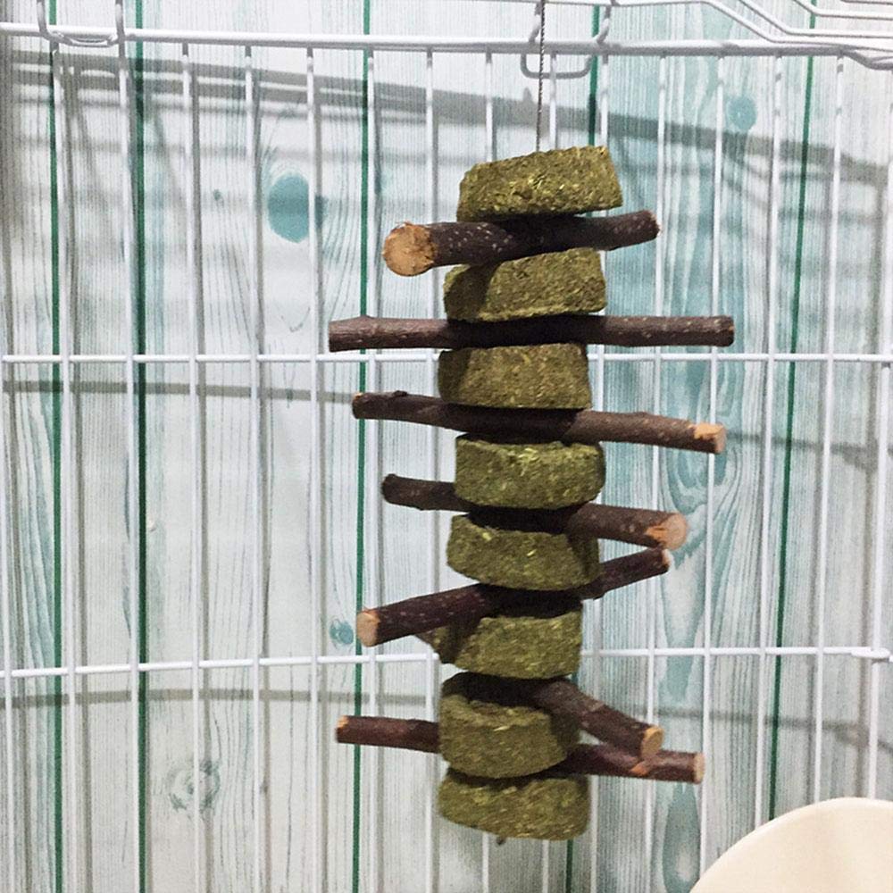 Pesandy Bunny Chew Toys For Teeth, Organic Apple Wood Molar Sticks With Timothy Hay Circles For Bunny Chinchilla Guinea Pig Hamsters Holland Lop Prairie Dogs Squirrels Gerbils, Improves Dental Health