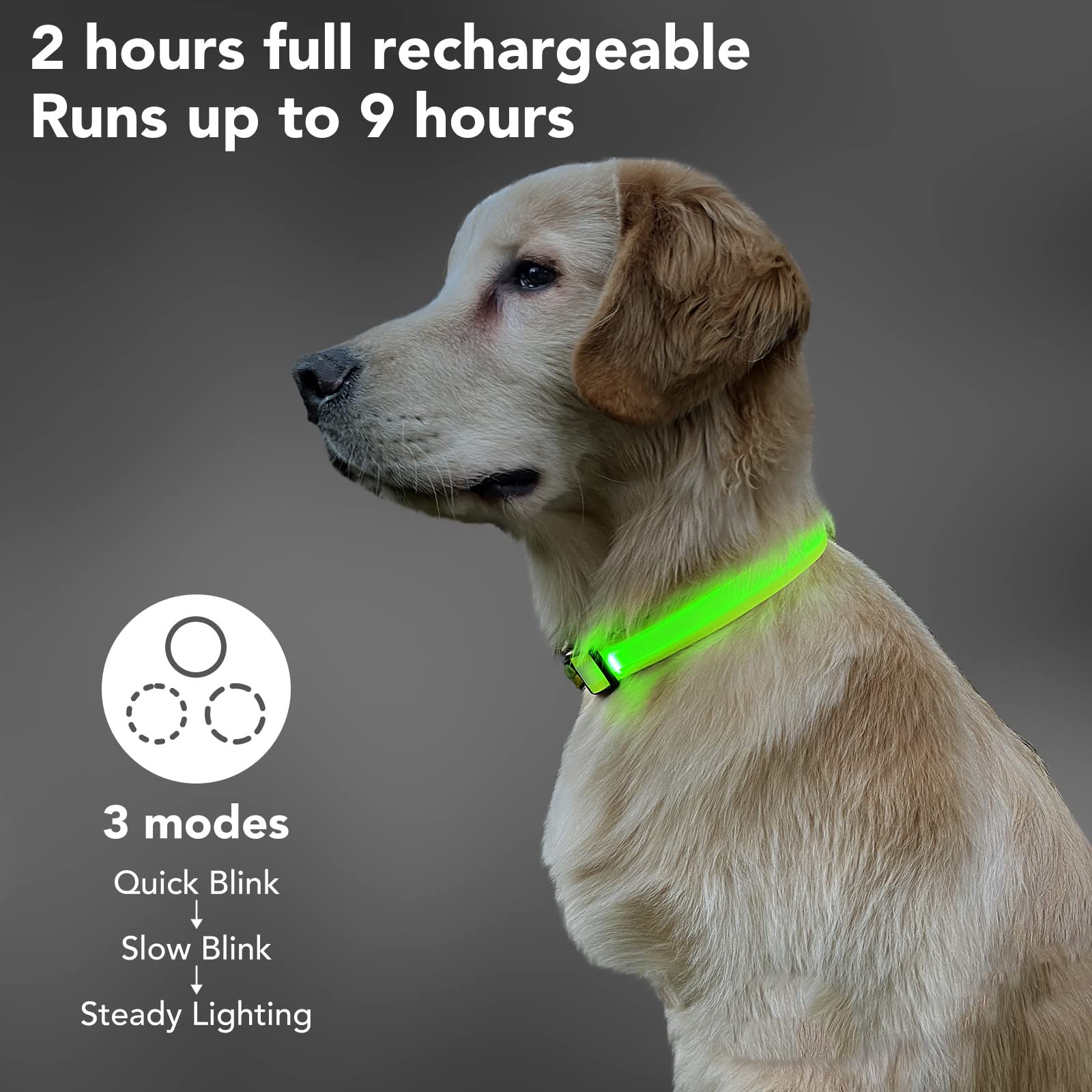 Pzrlit Led Light Up Dog Collars Micro Usb Rechargeable Waterproof, Full Adjustable Lighted Glow Dark Dog Collar Light For Night Walking For Small Medium Large Dogs, Green