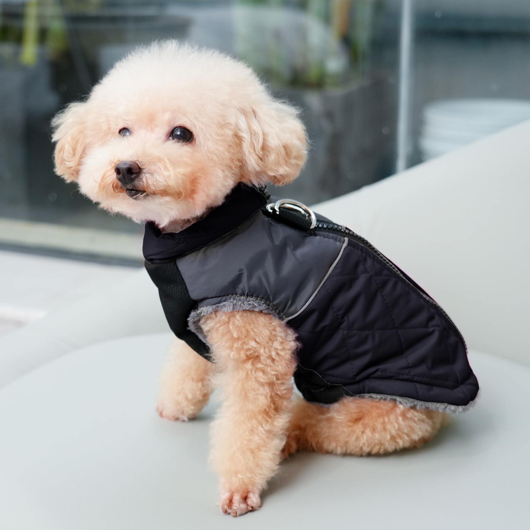 Joydaog Warm Fleece Dog Coats For Medium Dogs,D-Rings Waterproof Puppy Jacket For Cold Winter,Black L