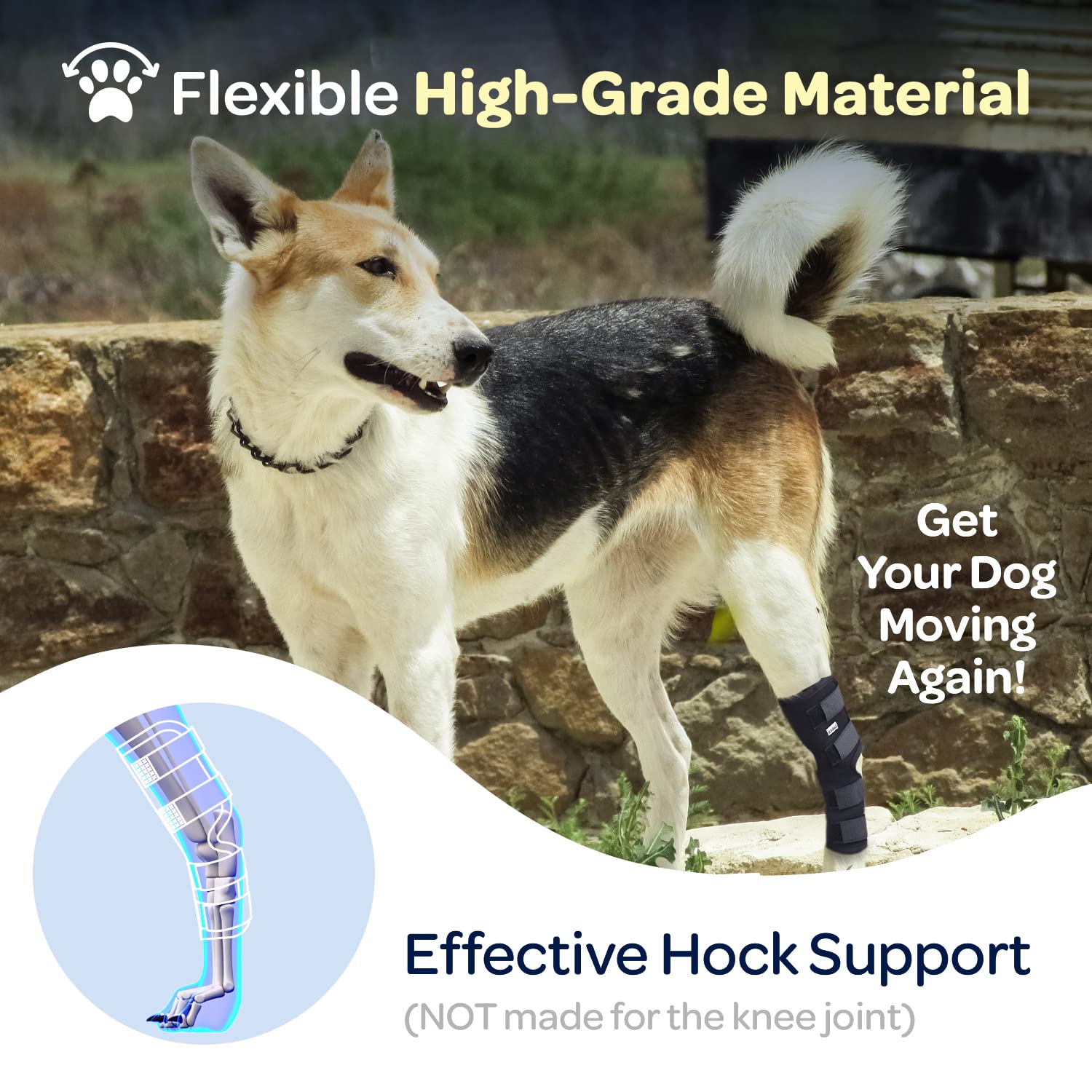 Labra Dog Extra Supportive Canine Rear (Hind) Leg Hock Joint Compression Wrap for Recovery, Protection, and Sprain and Injury Pr