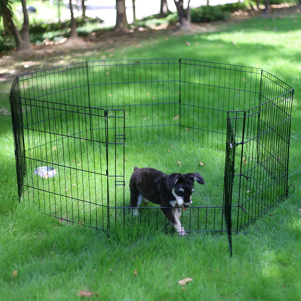 Peekaboo Dog Pen - Foldable Metal Playpen, 8 Panels, 24 Inch, Indoor/Outdoor, Black