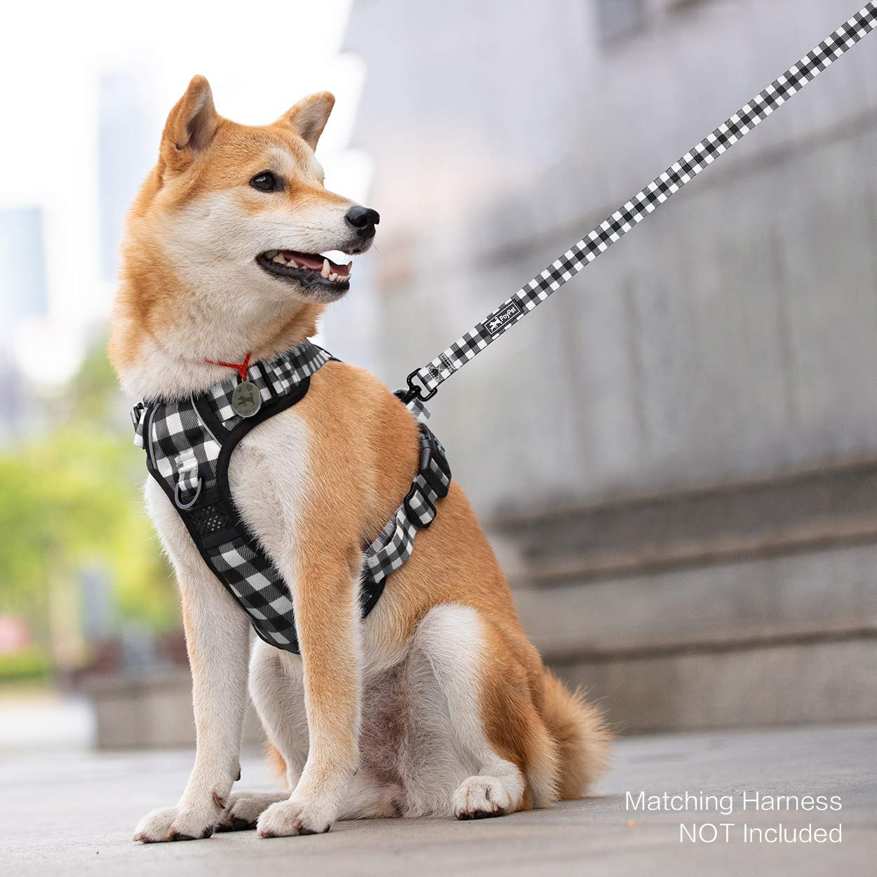 Poypet 5 Feet Dog Leash With Padded Handle For Small Medium And Large Dogs(Grid)