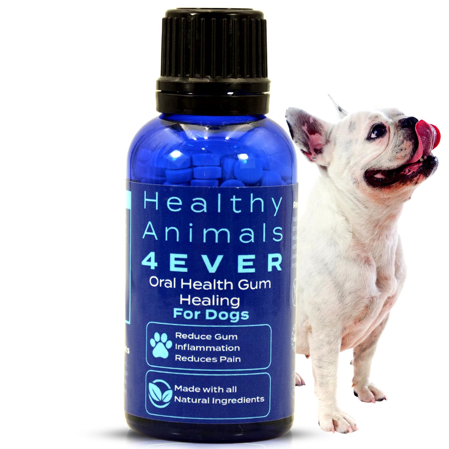Healthy Animals 4 Ever Oral Health Gum Healing for Dogs - Relieves Inflammation, Soothes Pain, Fights Gum Disease - Natural, Non