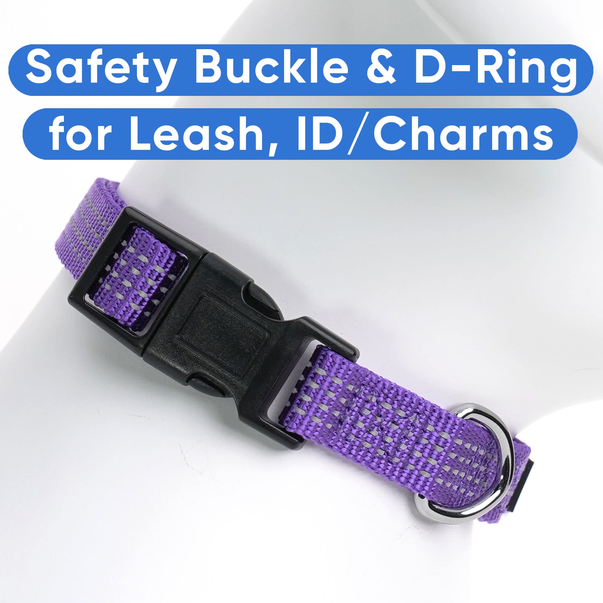 Pawtitas Reflective Dog Collar - Adjustable For Medium Dogs And Puppies - Purple