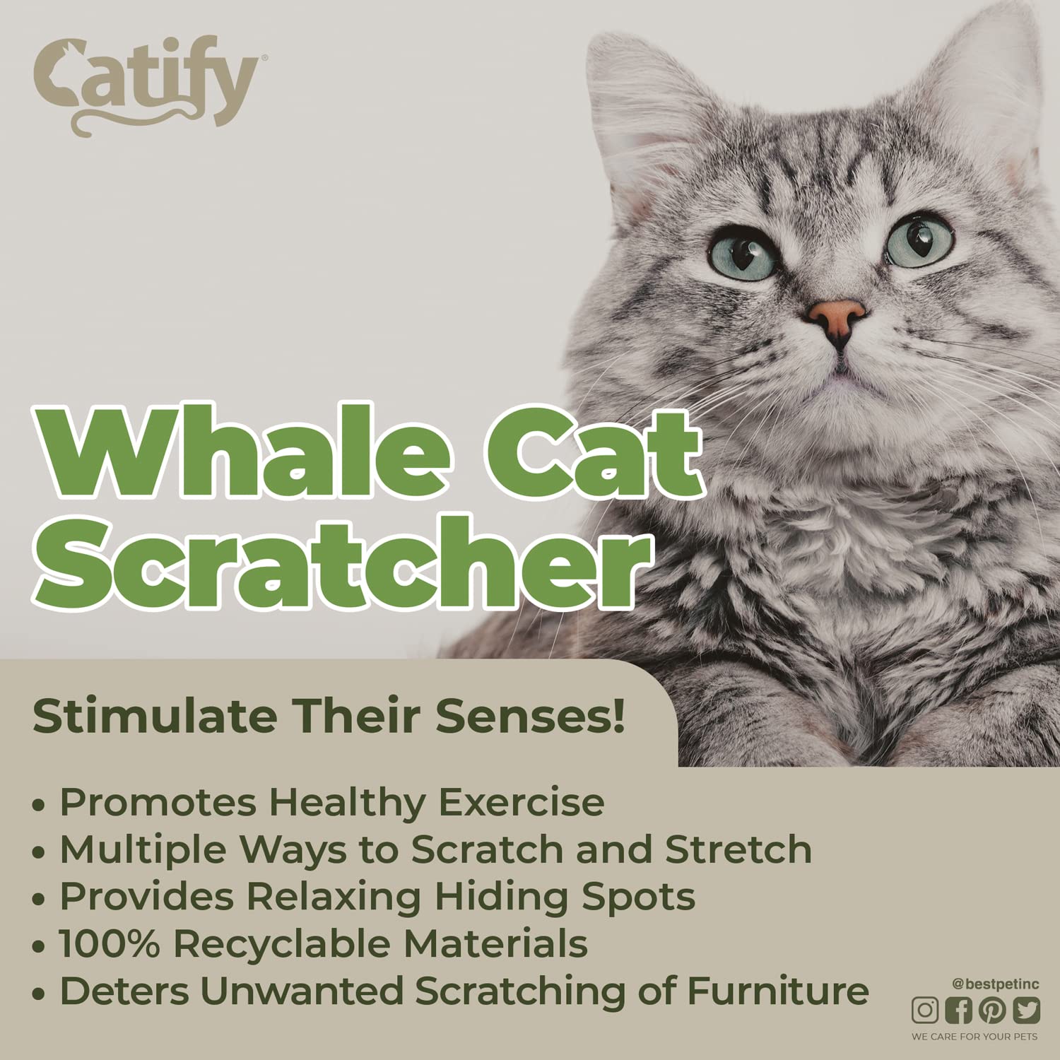 Best Pet Supplies Corrugated Cardboard Cat Scratcher Refill Pads, Lounger, And Fun Interactive Scratching Boards, Claw Safe, Dur