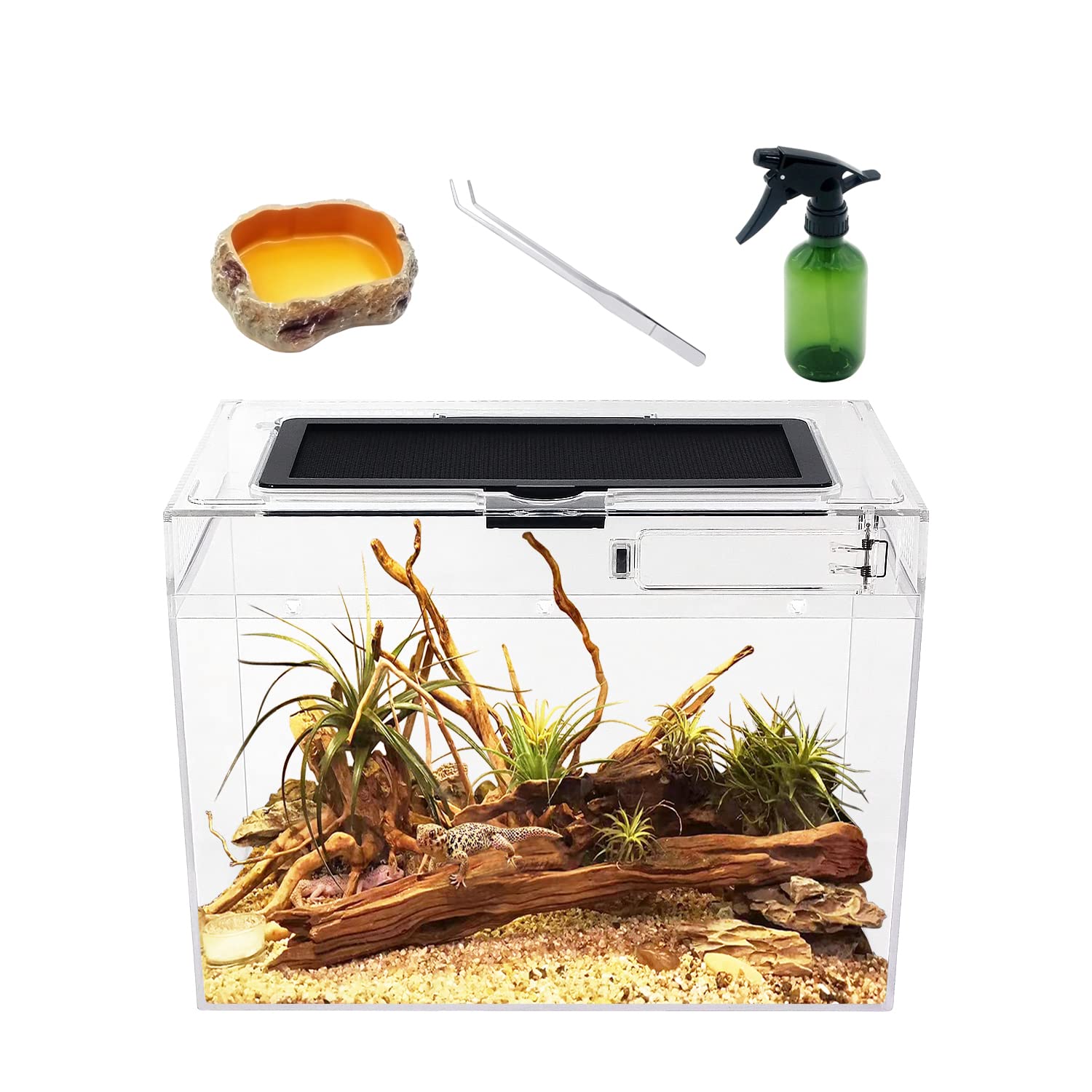 Reptile Growth Mini Reptile Terrarium,12'' x 7''x 9'' Reptile Tank with Full View Visually Appealing,for Insect,Fish,Tarantula,H