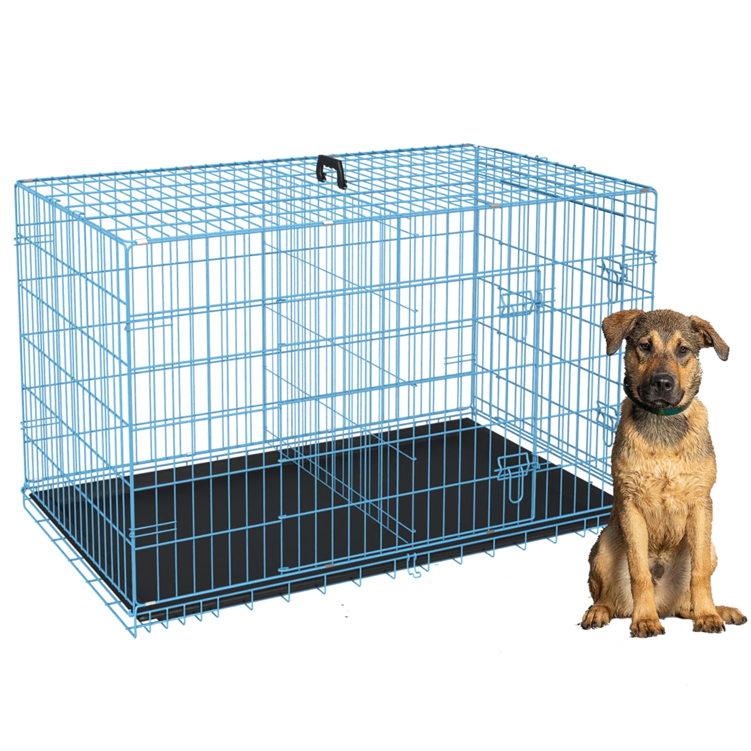 Home For Pets Dog Crate Cage Extra Folding Large Double Door Pet Crate,Includes Divider And Tray,(Blue,36)